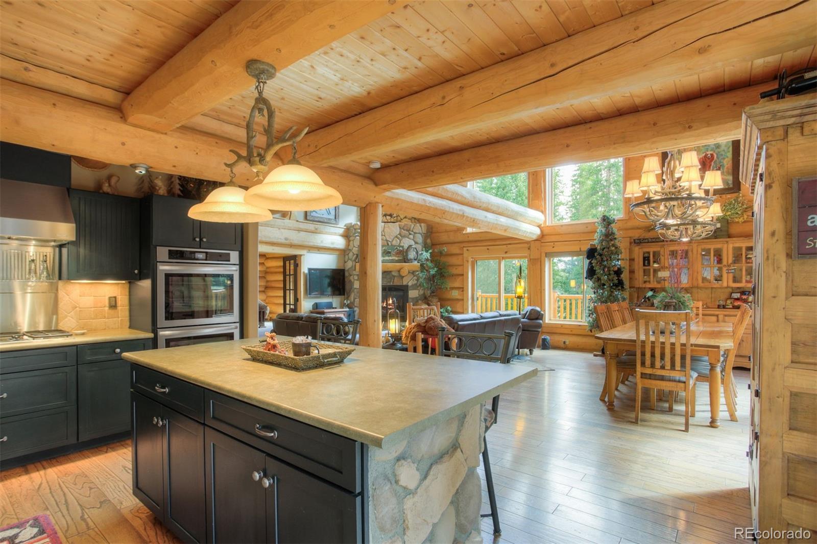 MLS Image #6 for 180  zebulon court,fairplay, Colorado