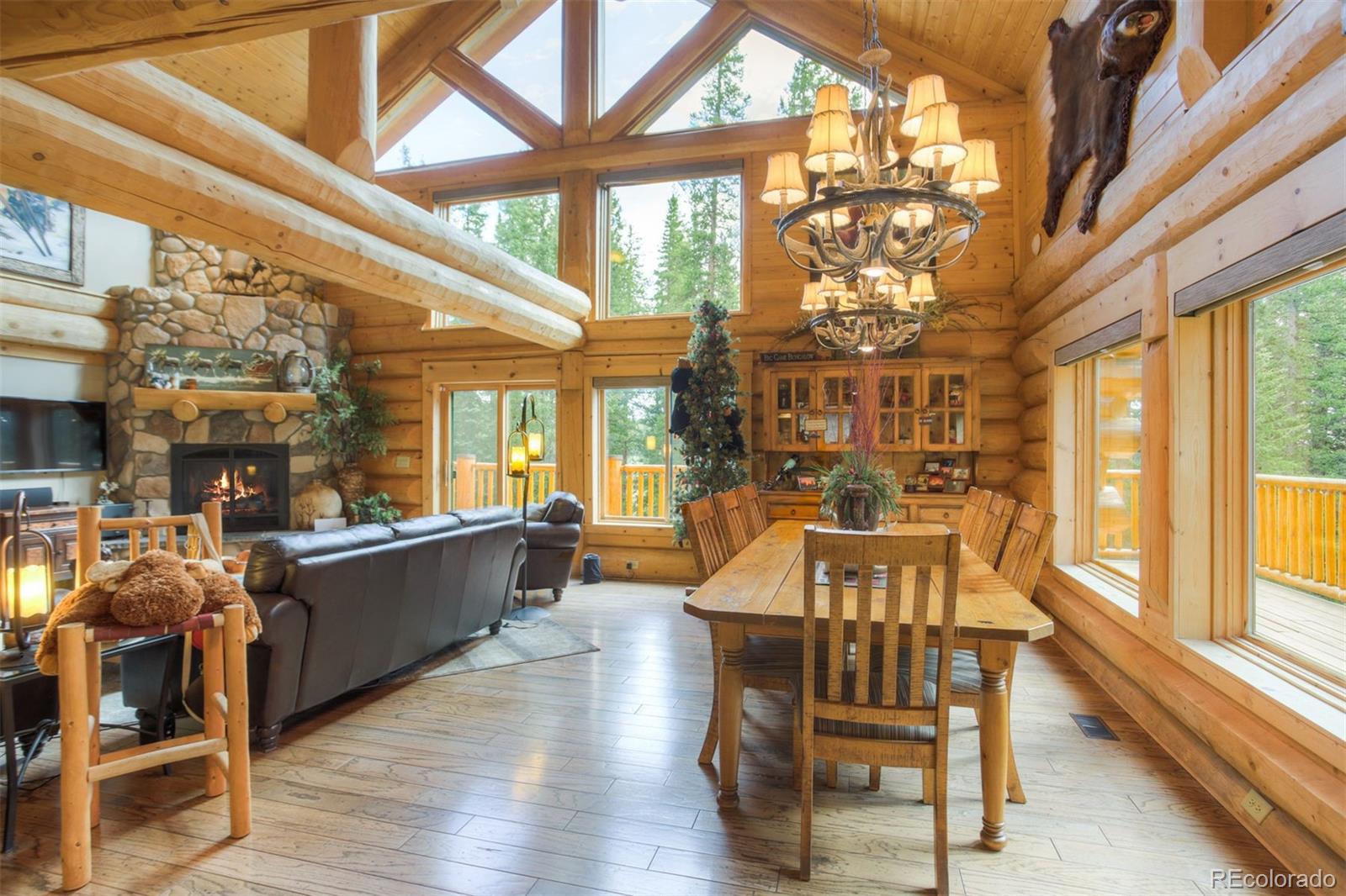 MLS Image #7 for 180  zebulon court,fairplay, Colorado