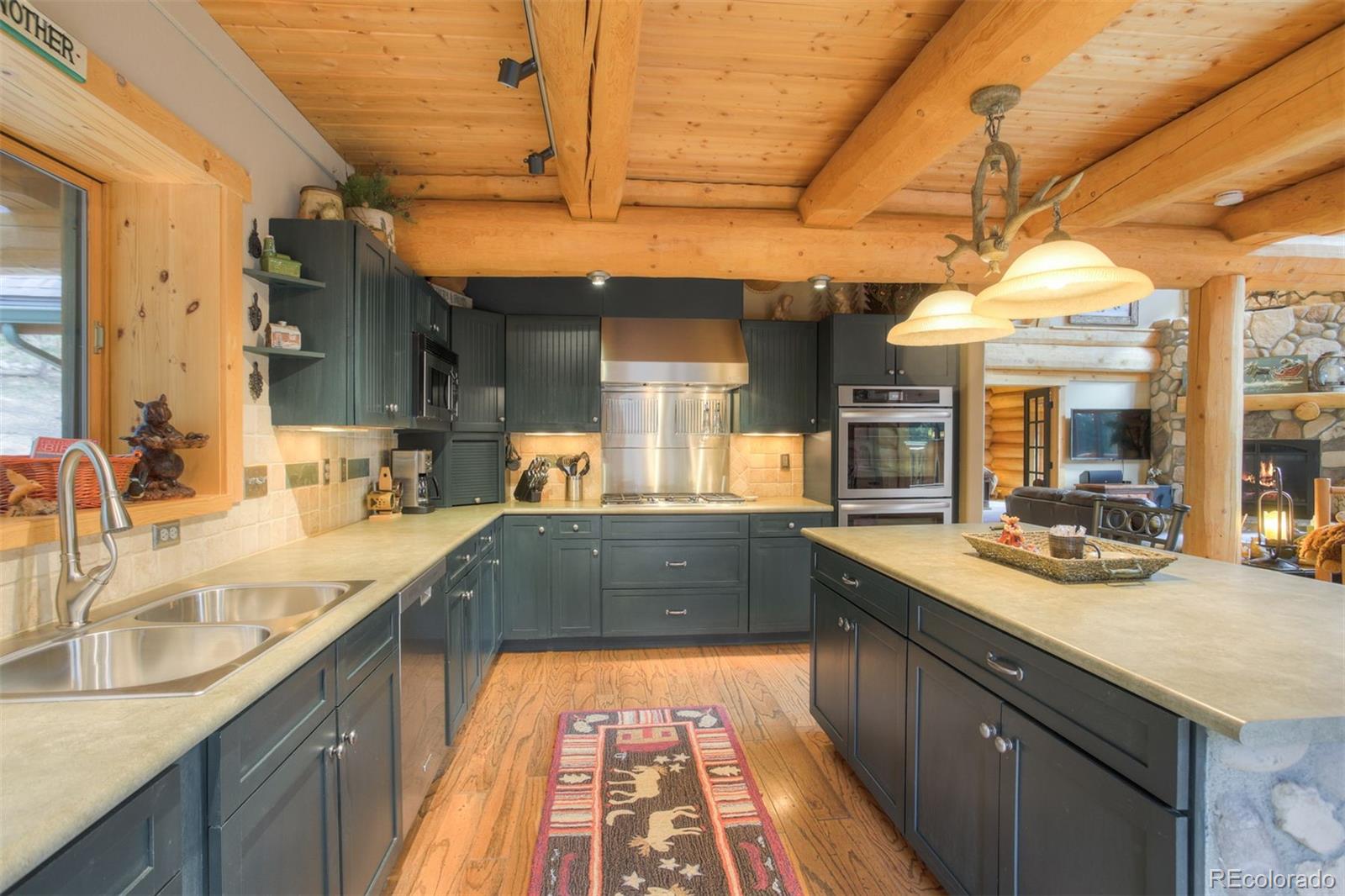MLS Image #8 for 180  zebulon court,fairplay, Colorado