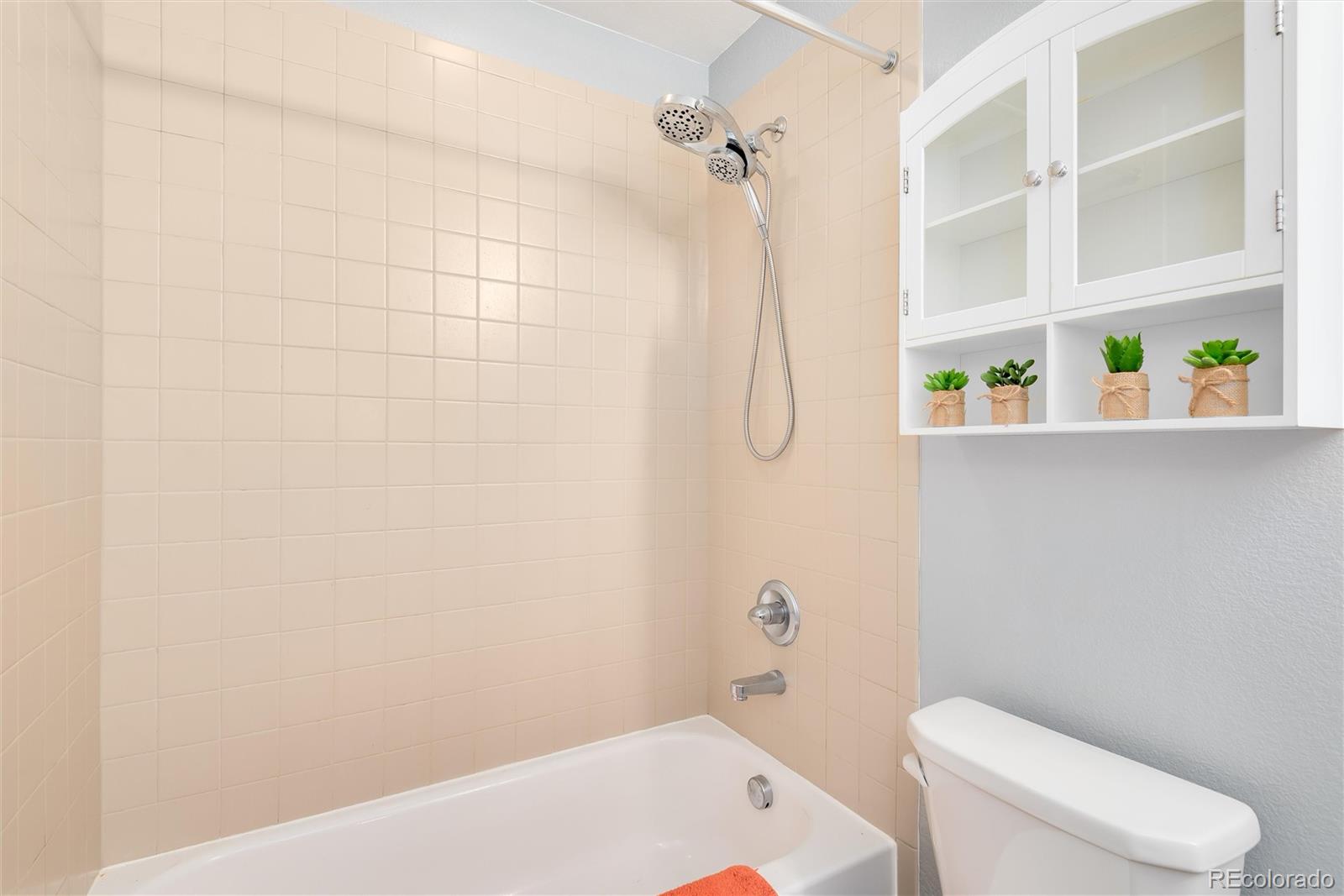MLS Image #29 for 6156 s harvest court,aurora, Colorado