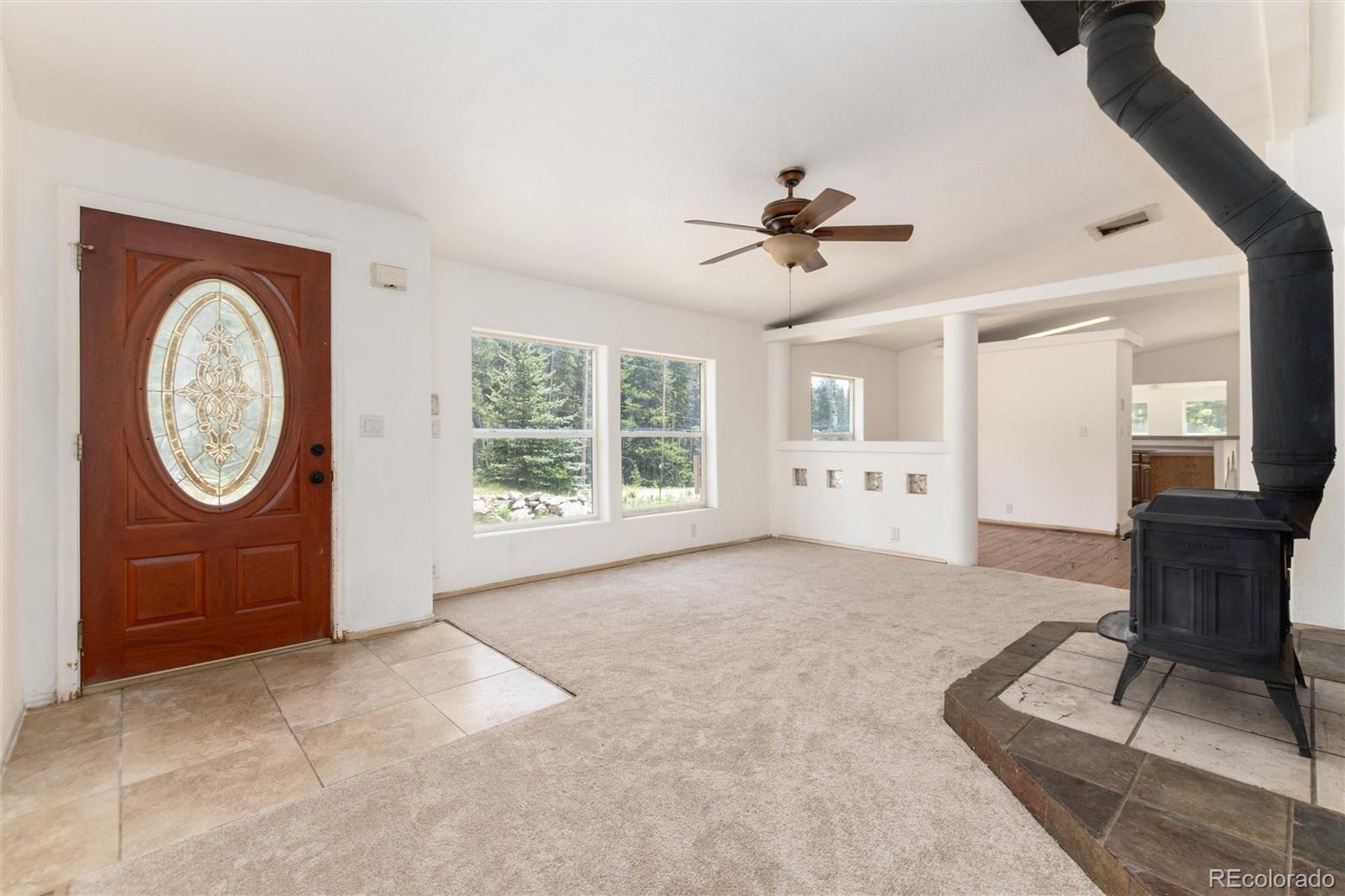 MLS Image #1 for 865  silver creek road,idaho springs, Colorado