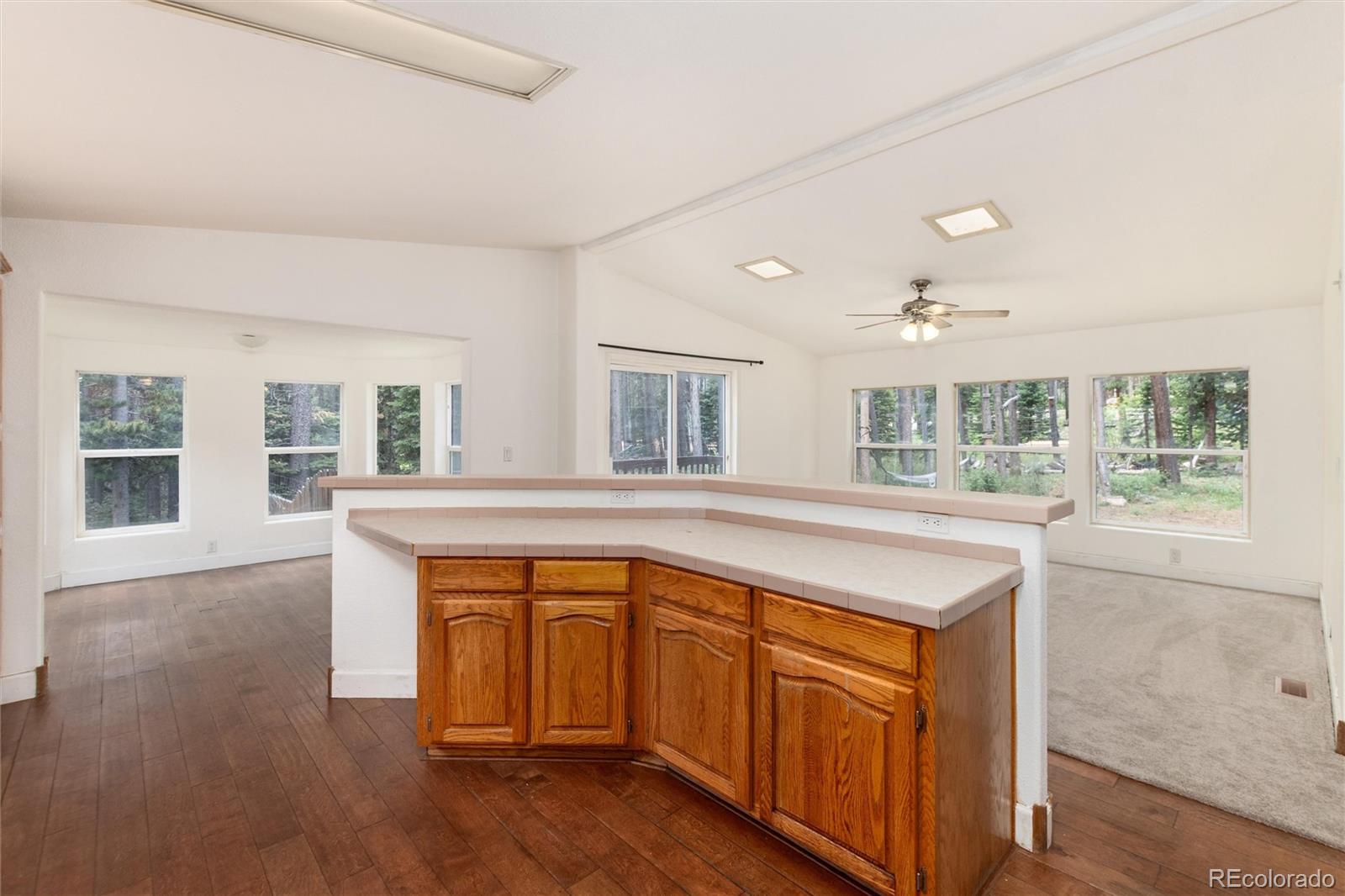 MLS Image #11 for 865  silver creek road,idaho springs, Colorado