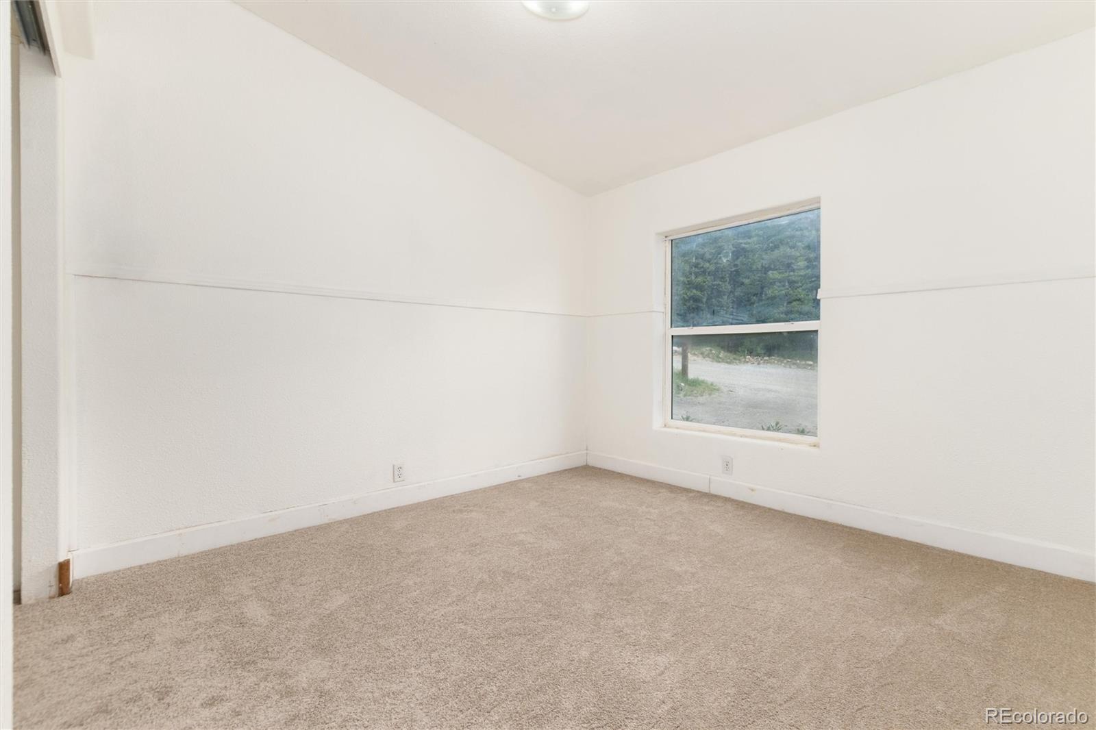 MLS Image #19 for 865  silver creek road,idaho springs, Colorado