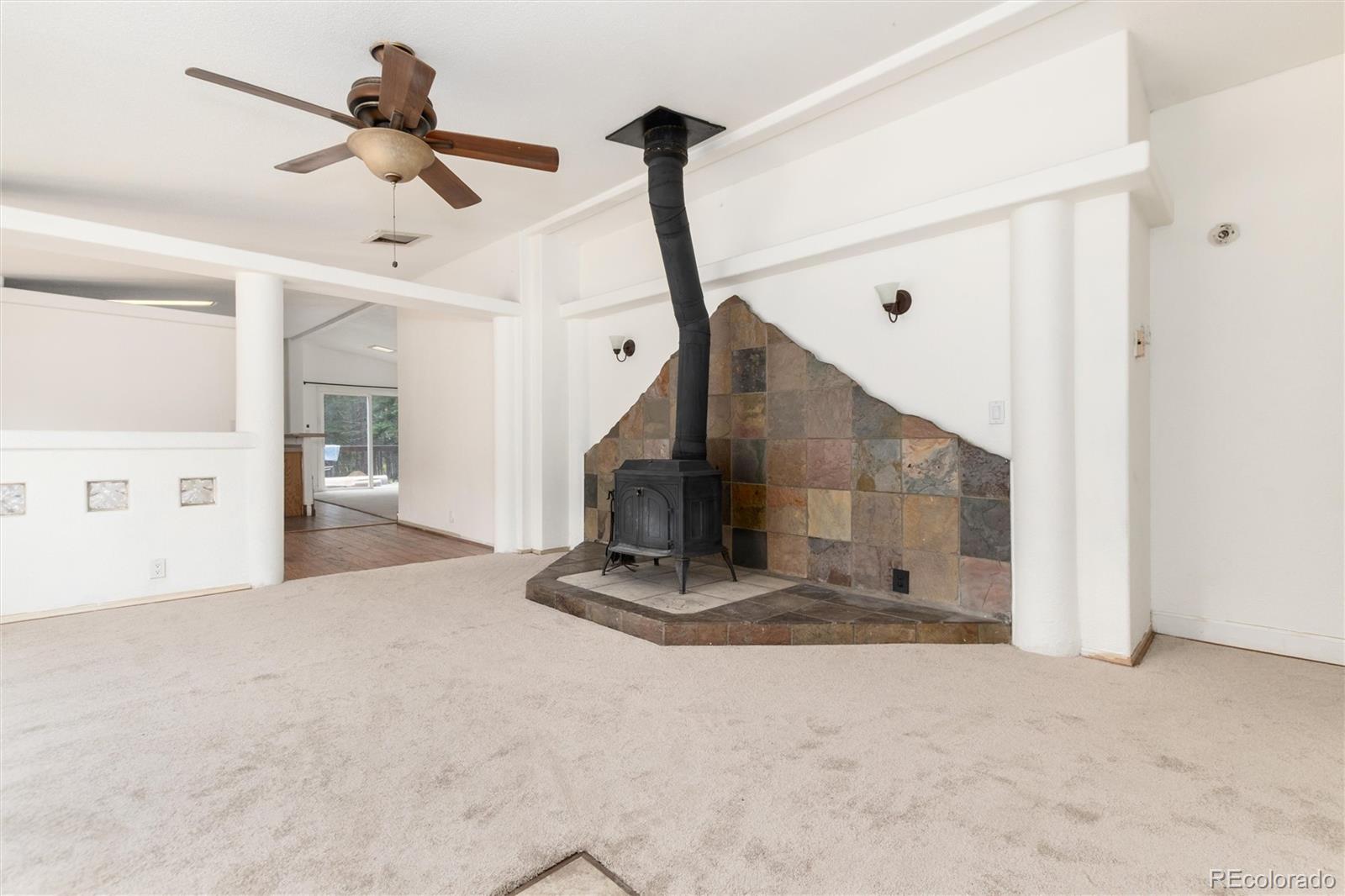 MLS Image #2 for 865  silver creek road,idaho springs, Colorado