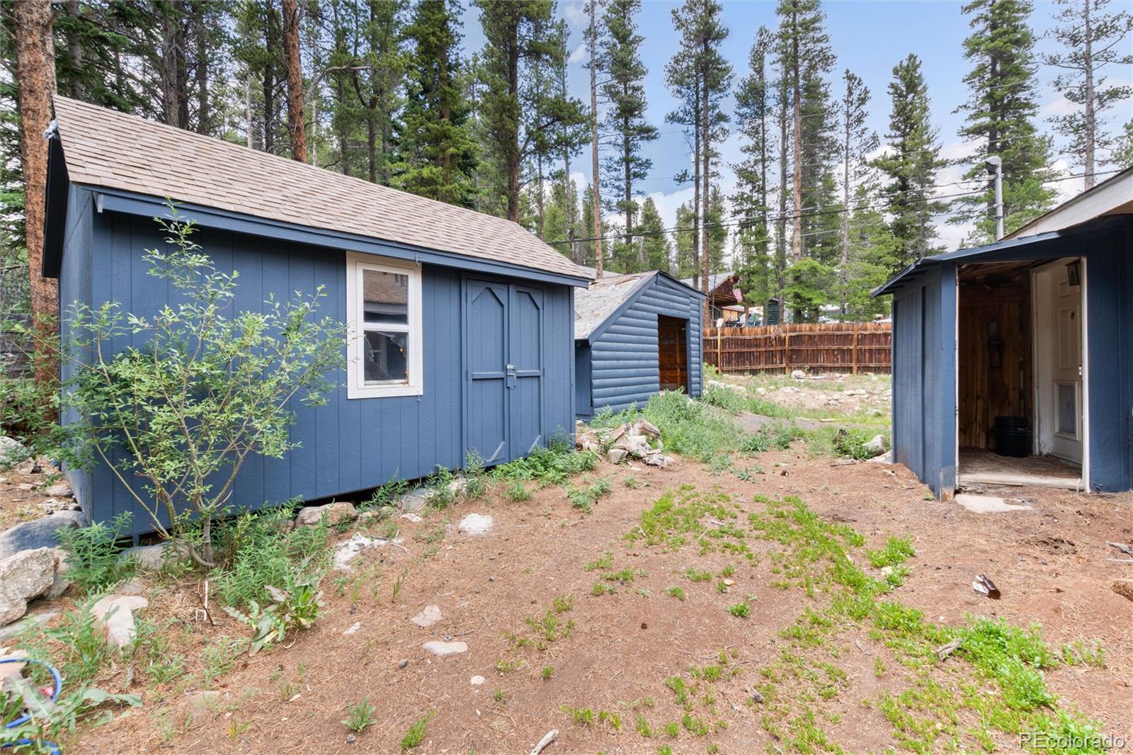 MLS Image #21 for 865  silver creek road,idaho springs, Colorado