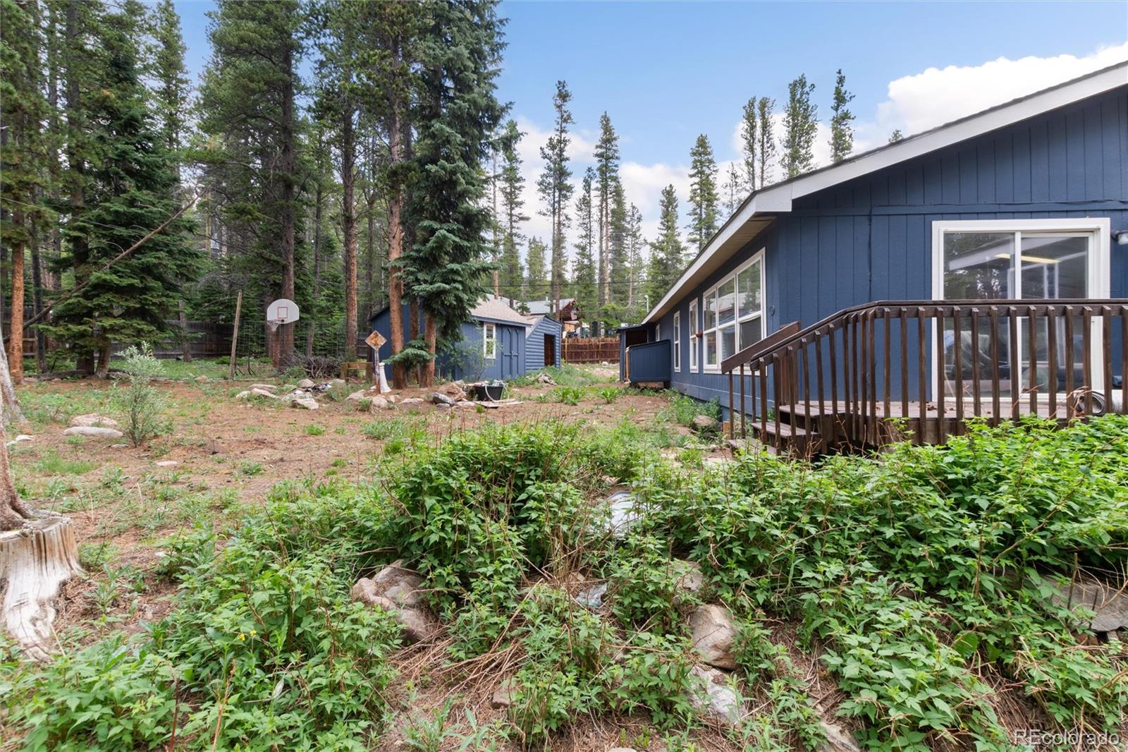 MLS Image #22 for 865  silver creek road,idaho springs, Colorado