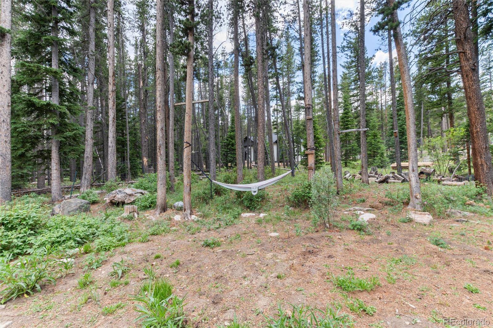 MLS Image #23 for 865  silver creek road,idaho springs, Colorado