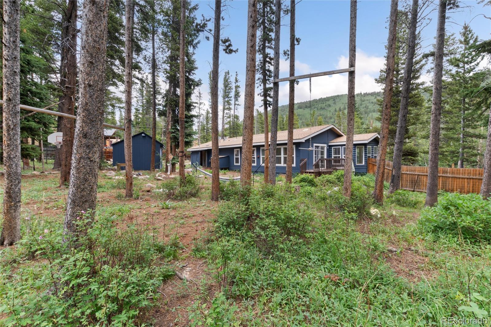 MLS Image #24 for 865  silver creek road,idaho springs, Colorado