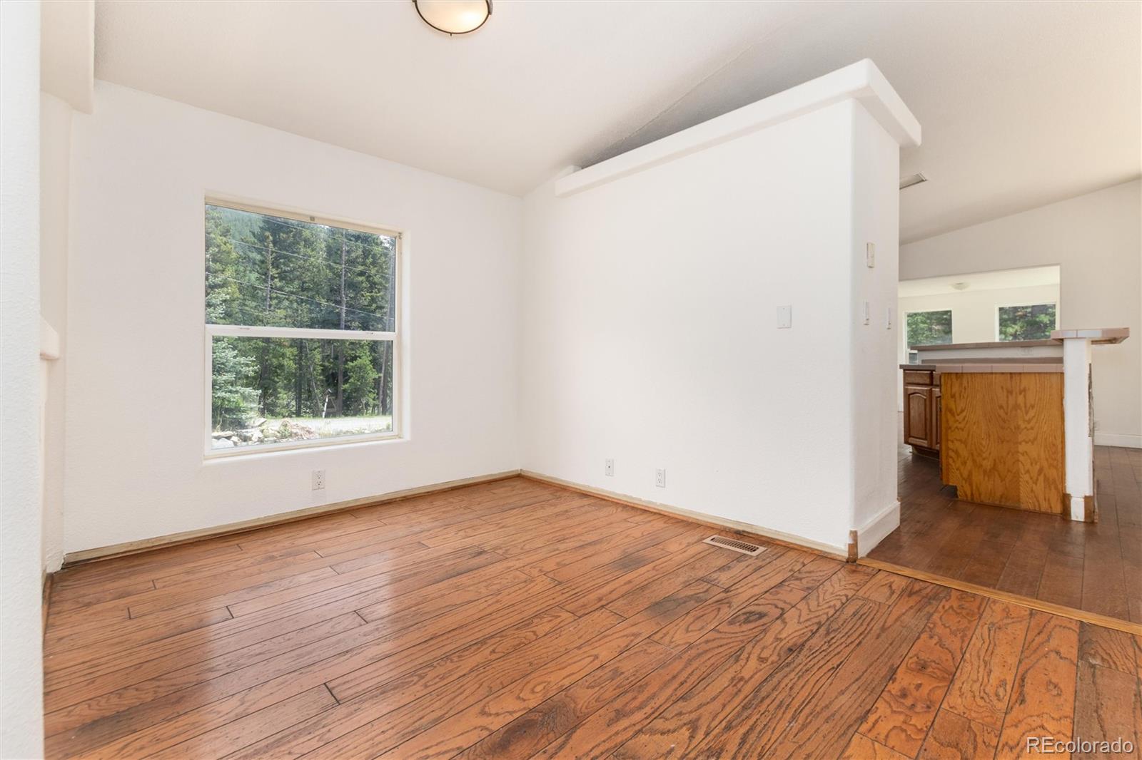 MLS Image #3 for 865  silver creek road,idaho springs, Colorado