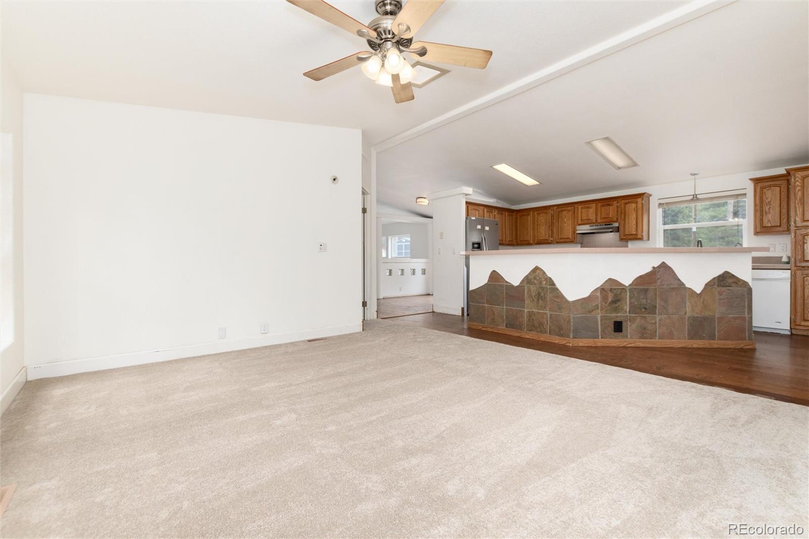 MLS Image #8 for 865  silver creek road,idaho springs, Colorado