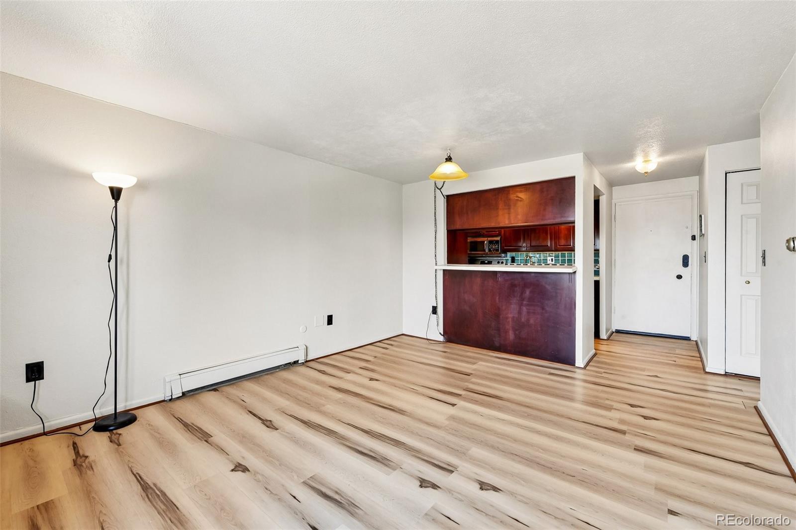 MLS Image #4 for 1008 n corona street,denver, Colorado