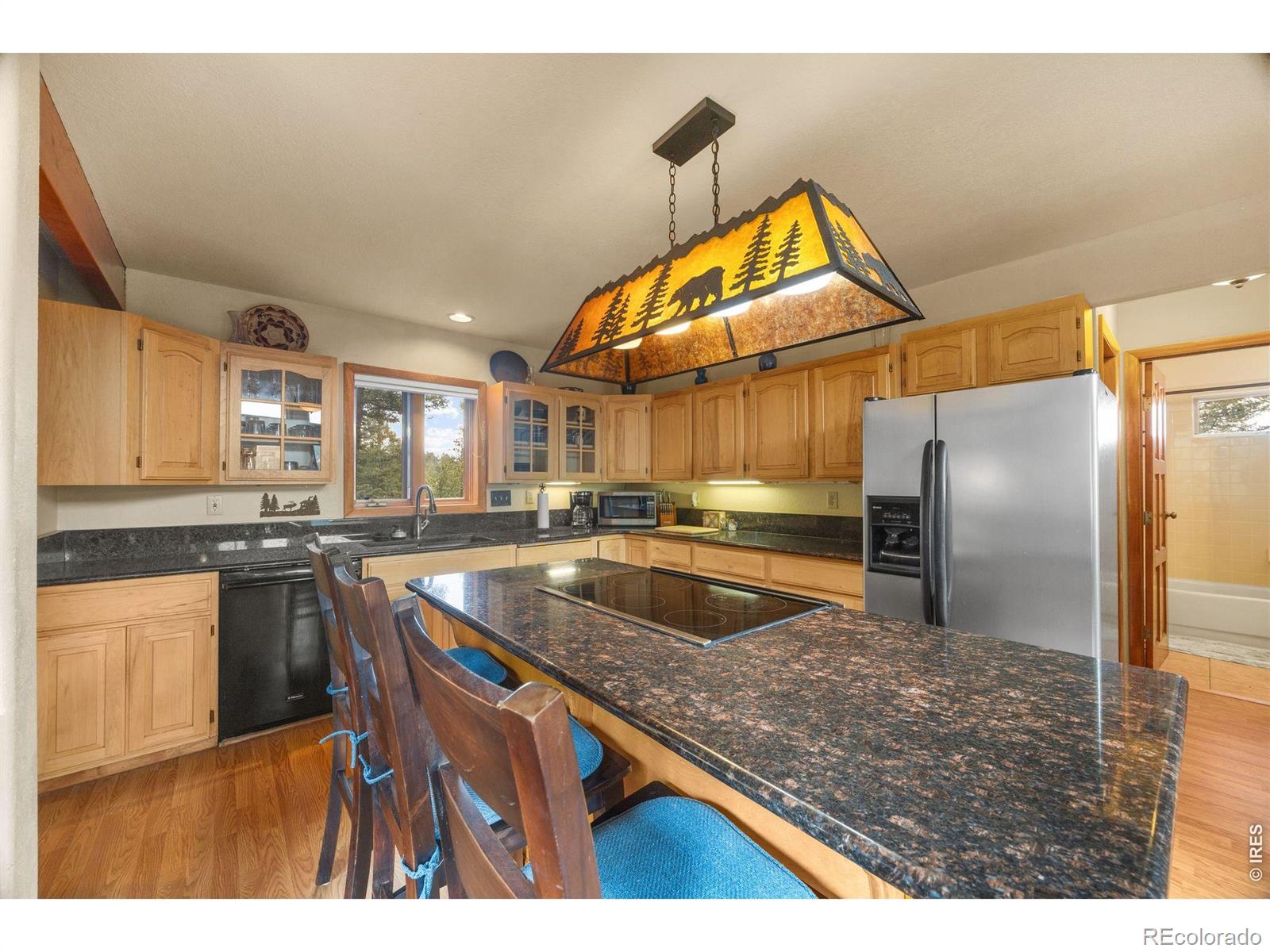 MLS Image #11 for 12191  tecumseh trail,conifer, Colorado