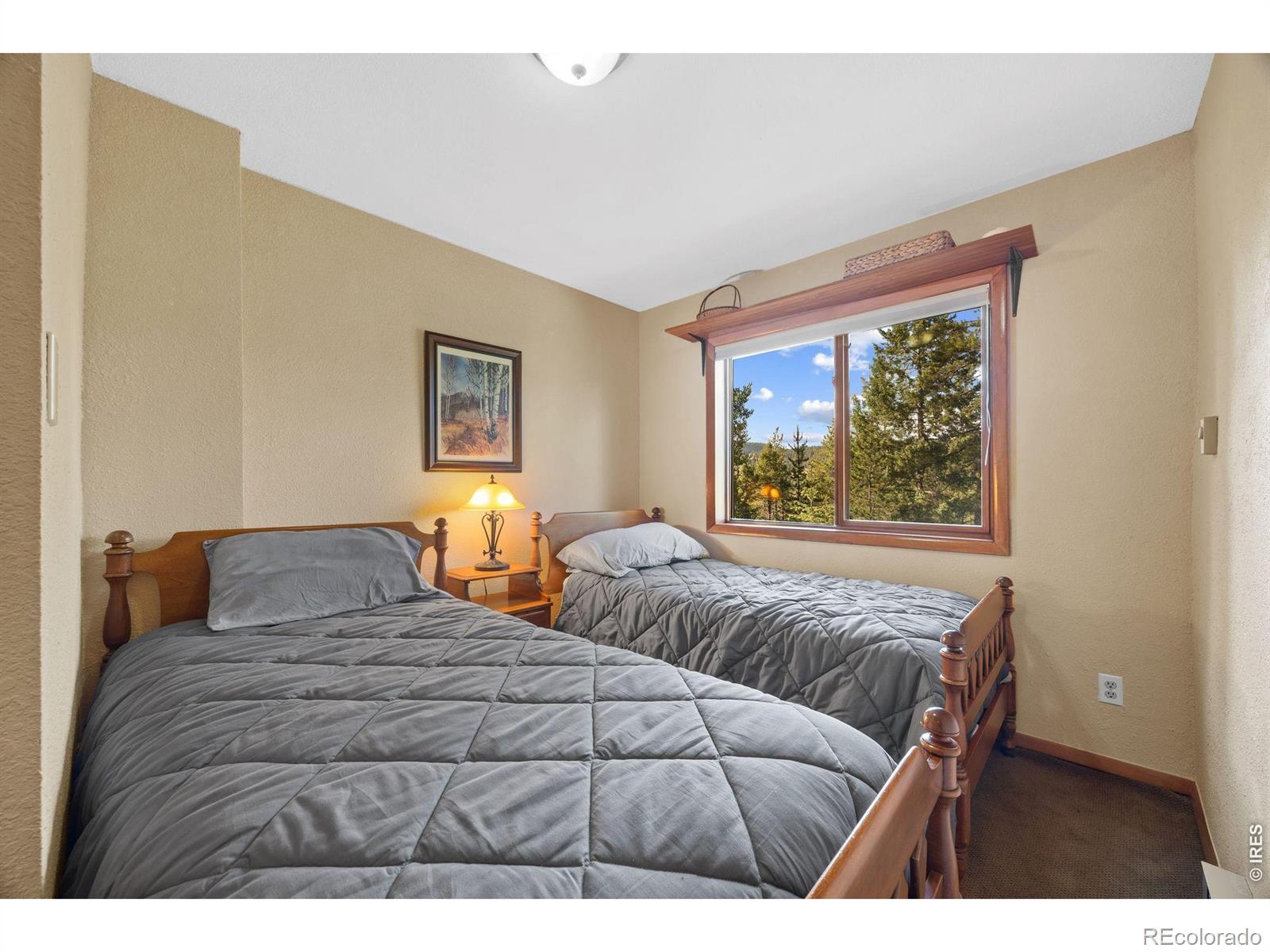 MLS Image #32 for 12191  tecumseh trail,conifer, Colorado