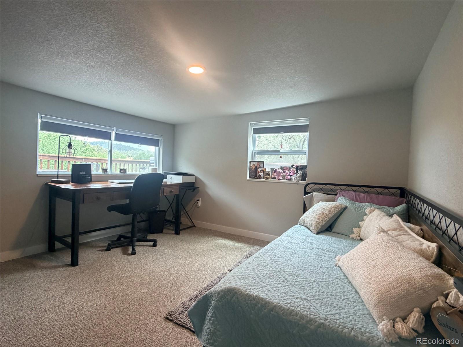 MLS Image #14 for 2184 s grapevine road,idledale, Colorado