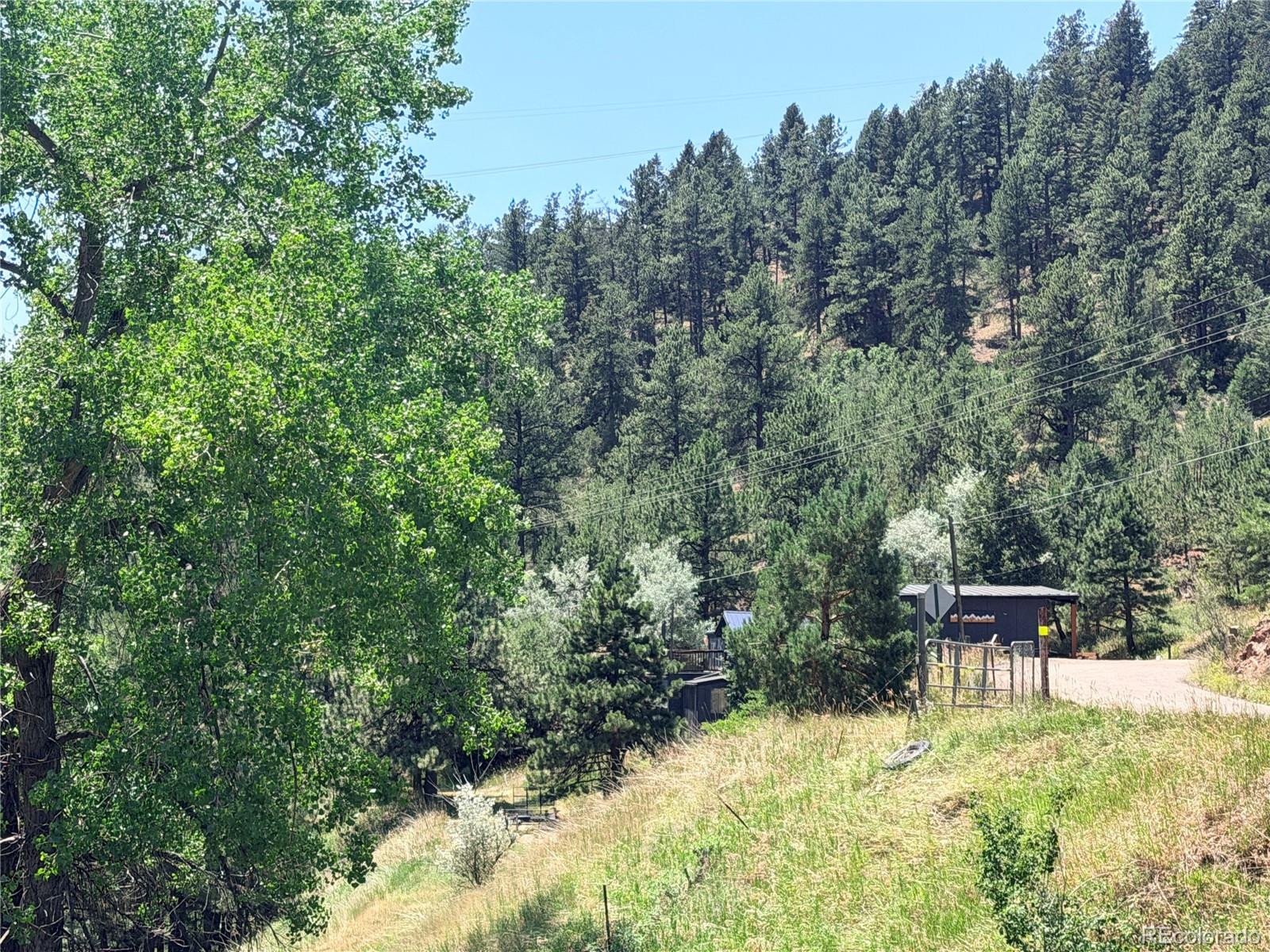 MLS Image #32 for 2184 s grapevine road,idledale, Colorado