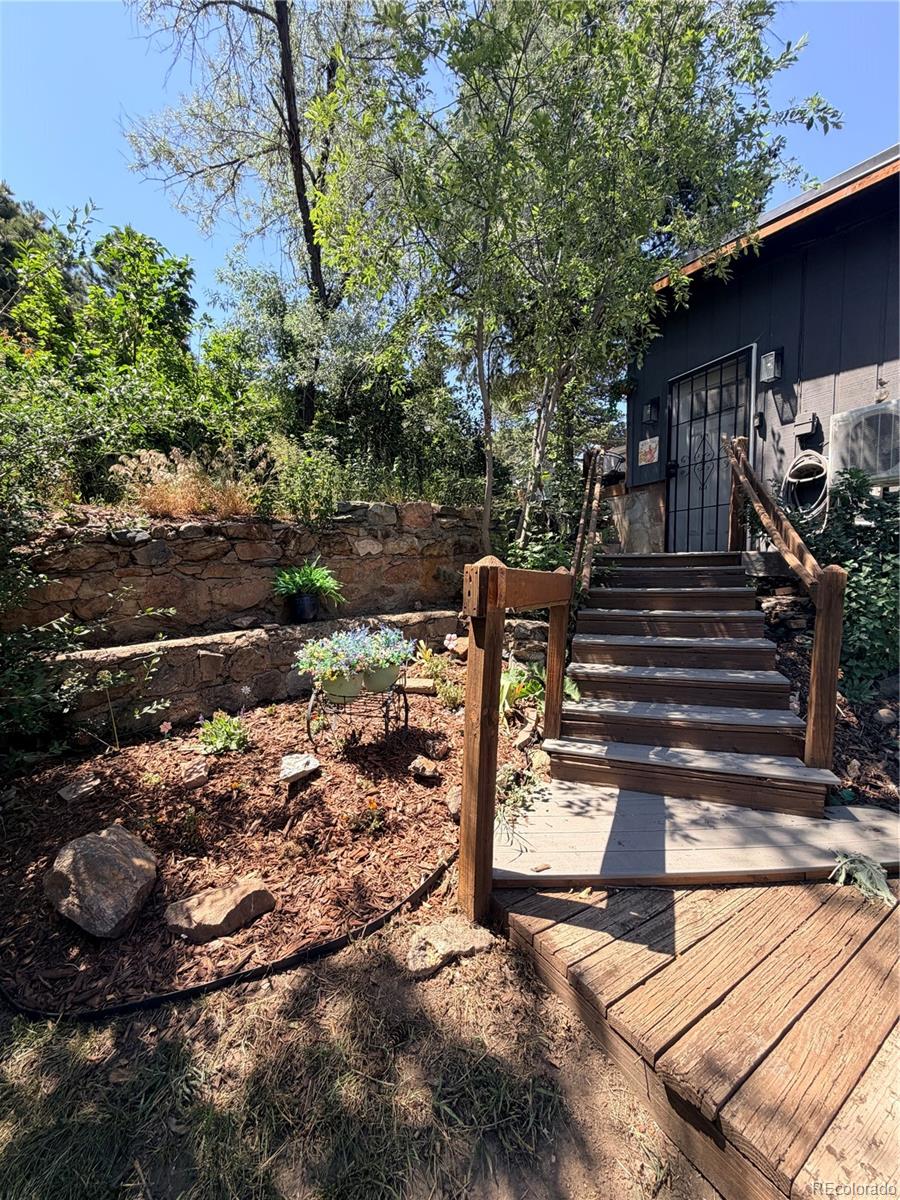 MLS Image #4 for 2184 s grapevine road,idledale, Colorado