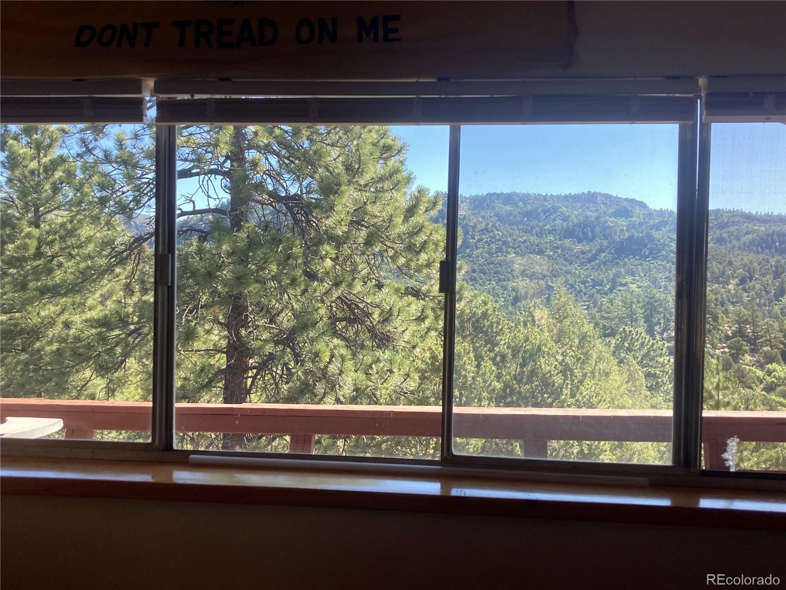 MLS Image #1 for 136  burnt timber circle,cotopaxi, Colorado