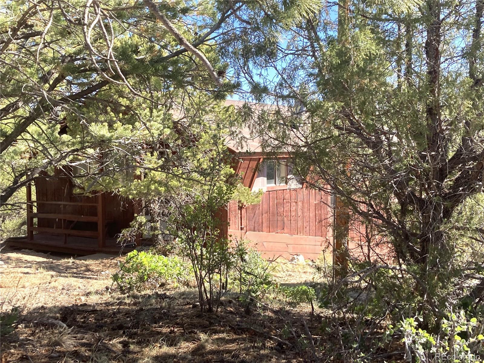 MLS Image #12 for 136  burnt timber circle,cotopaxi, Colorado