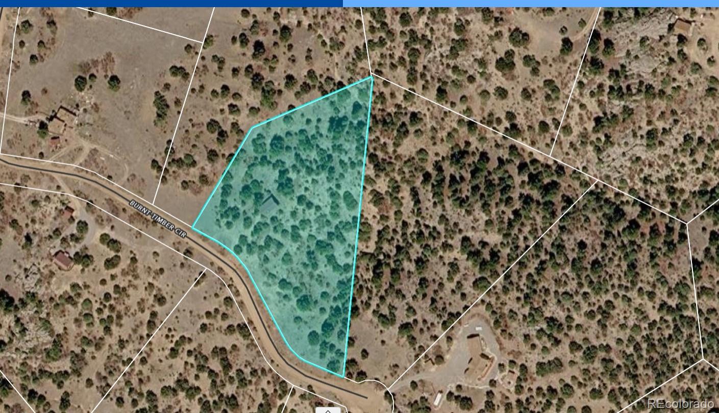 MLS Image #17 for 136  burnt timber circle,cotopaxi, Colorado