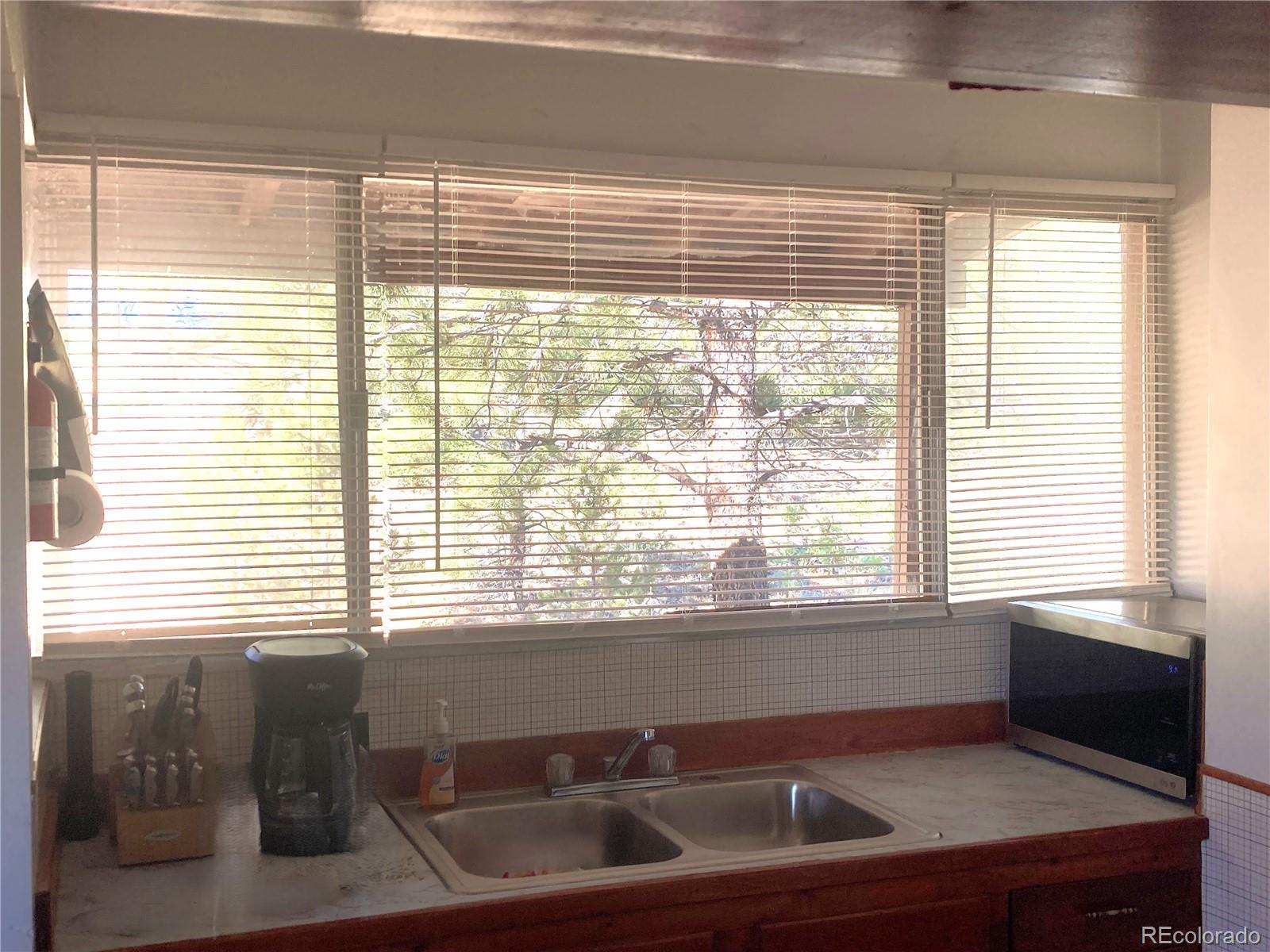 MLS Image #19 for 136  burnt timber circle,cotopaxi, Colorado