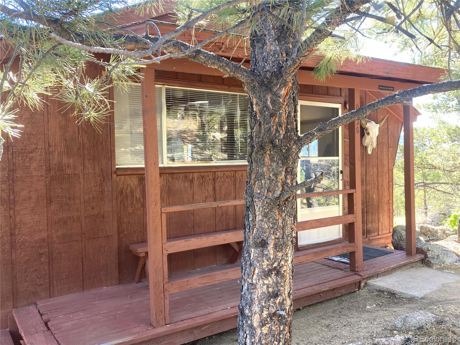 MLS Image #2 for 136  burnt timber circle,cotopaxi, Colorado