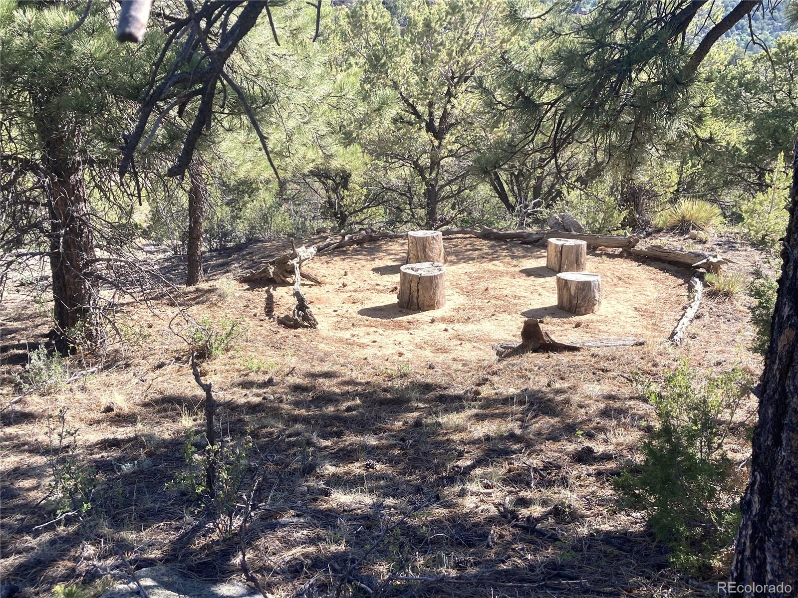 MLS Image #21 for 136  burnt timber circle,cotopaxi, Colorado