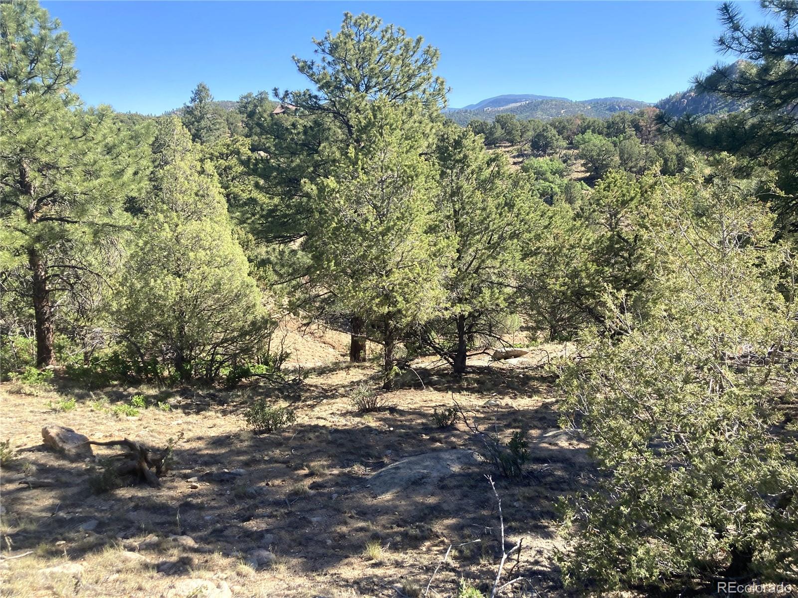 MLS Image #22 for 136  burnt timber circle,cotopaxi, Colorado