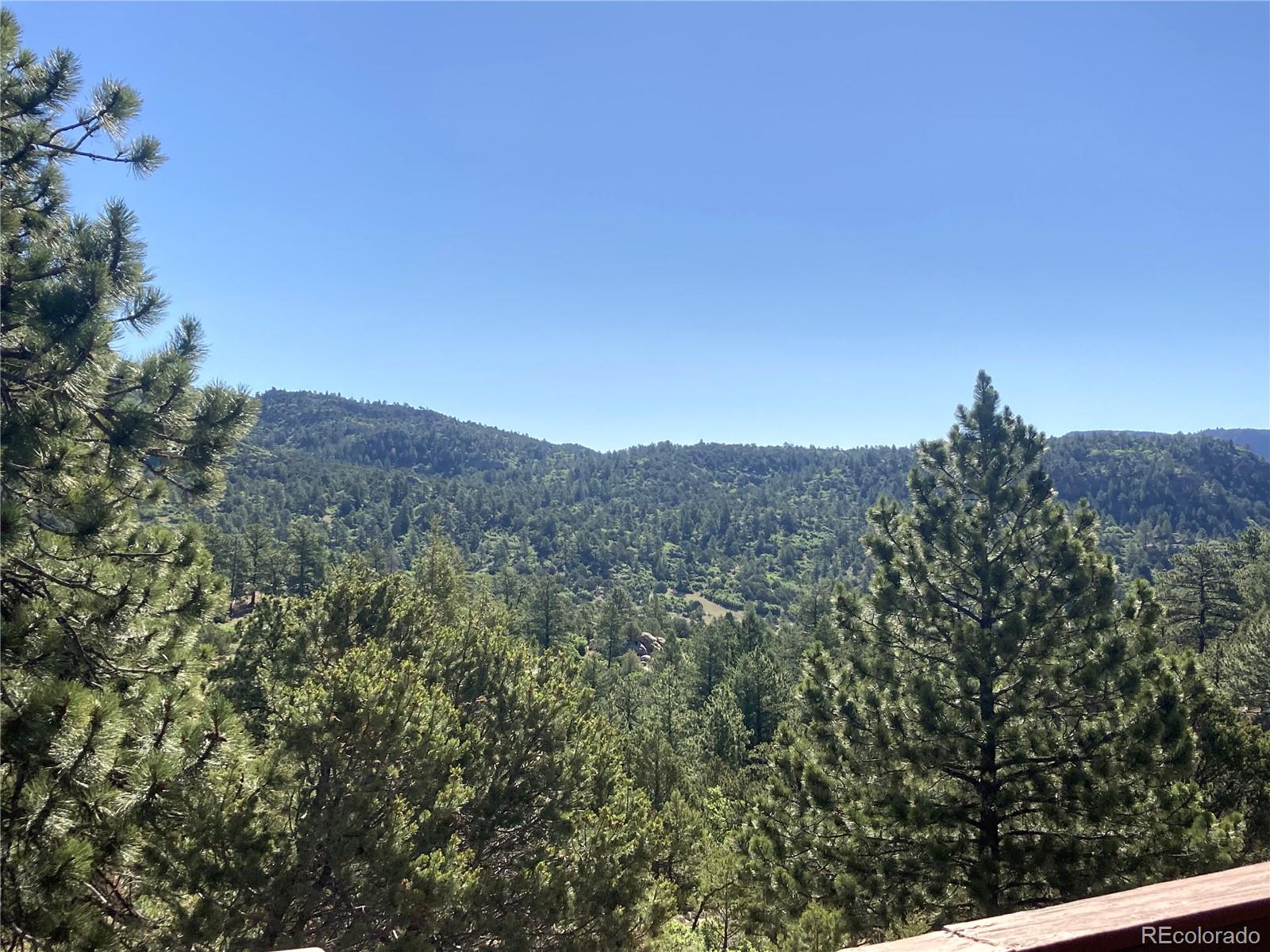 MLS Image #23 for 136  burnt timber circle,cotopaxi, Colorado