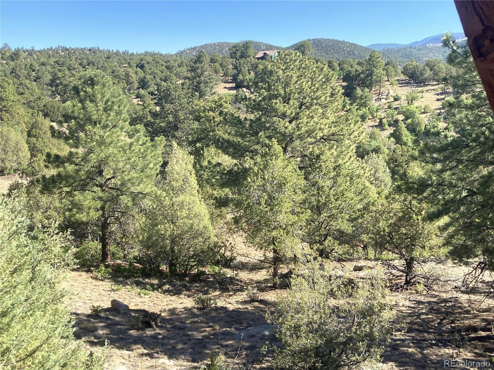 MLS Image #29 for 136  burnt timber circle,cotopaxi, Colorado