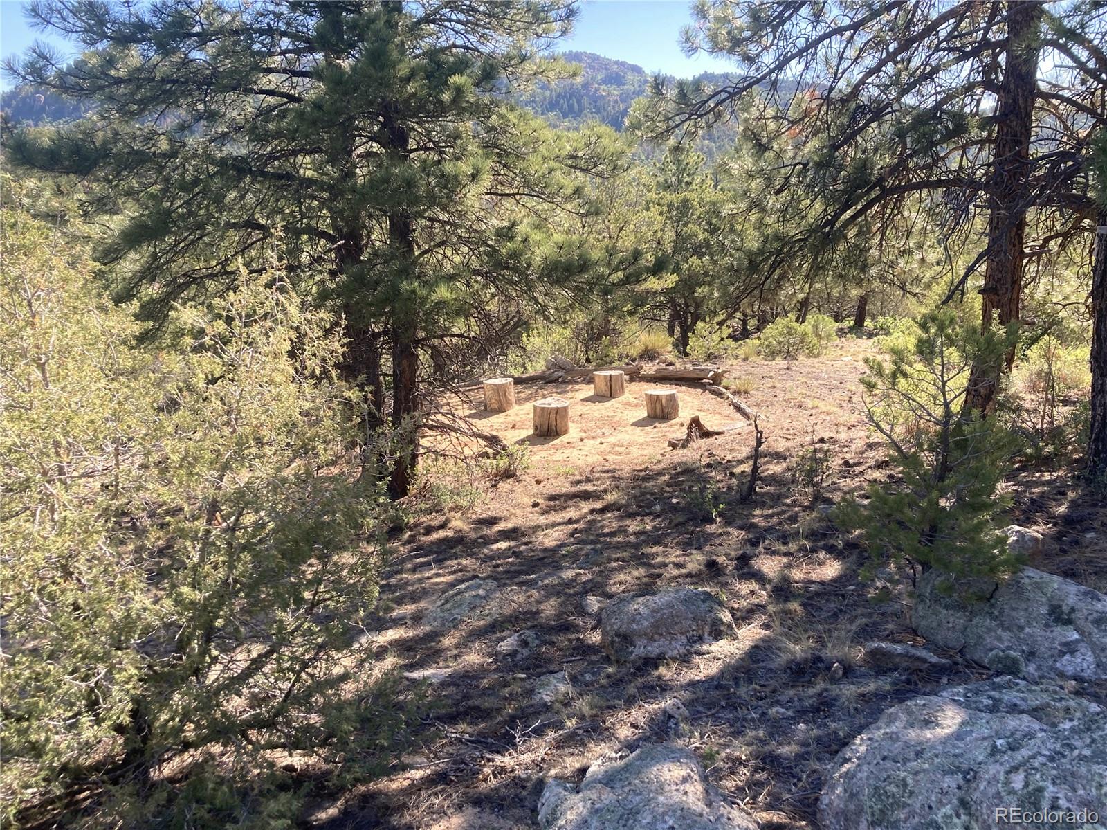 MLS Image #30 for 136  burnt timber circle,cotopaxi, Colorado