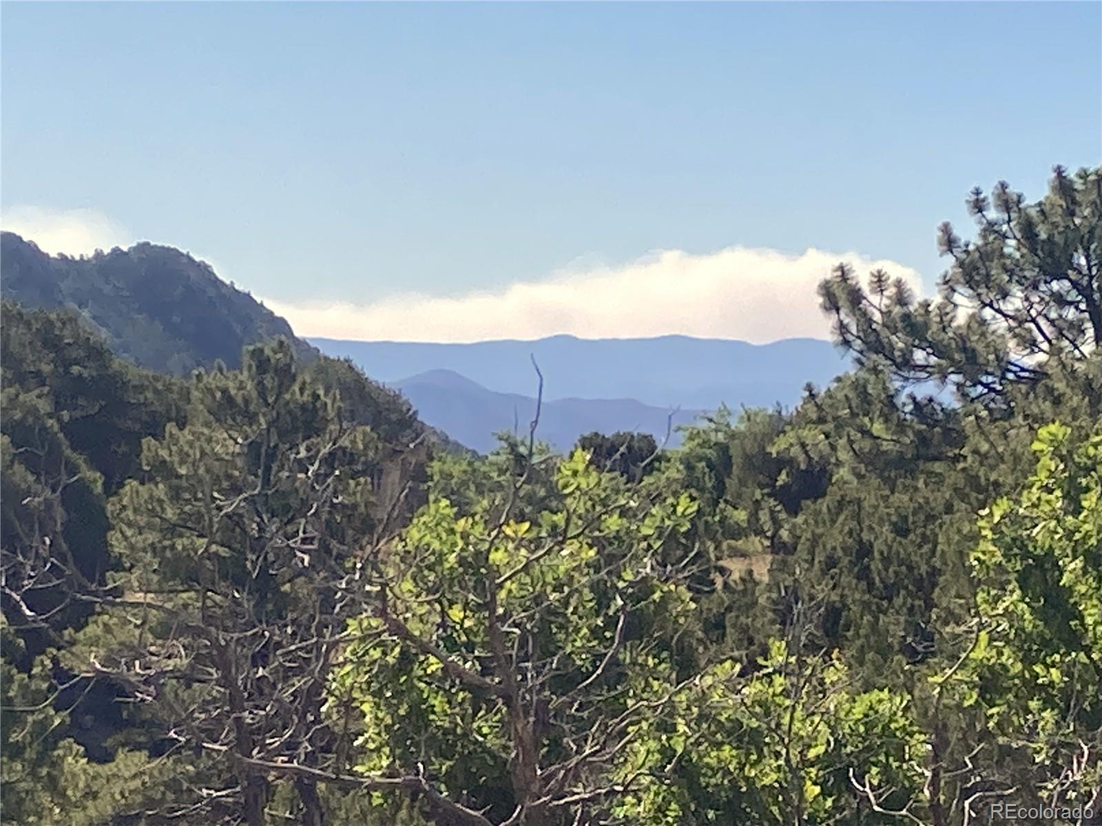 MLS Image #7 for 136  burnt timber circle,cotopaxi, Colorado
