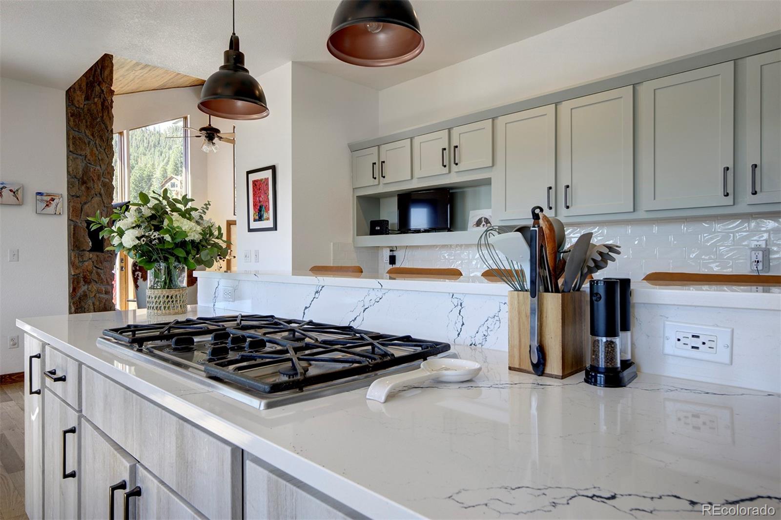 MLS Image #3 for 451  sawmill creek road,evergreen, Colorado