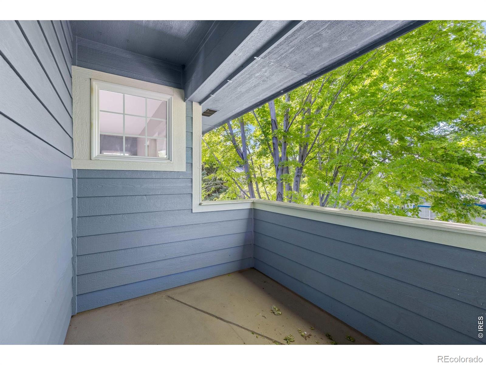 MLS Image #18 for 510  noel avenue,longmont, Colorado