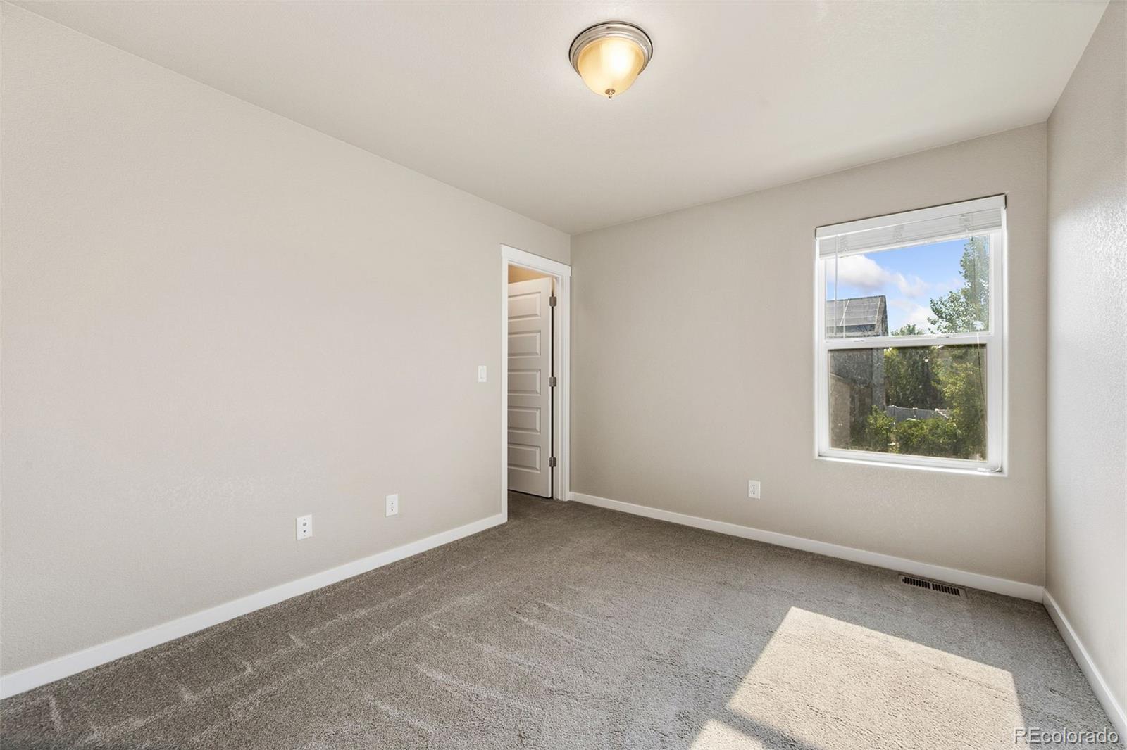 MLS Image #26 for 5562  clarence drive,windsor, Colorado