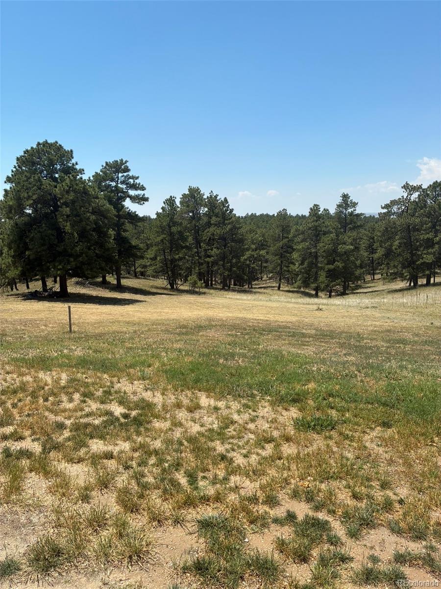 MLS Image #17 for 24074  emerald trail,deer trail, Colorado