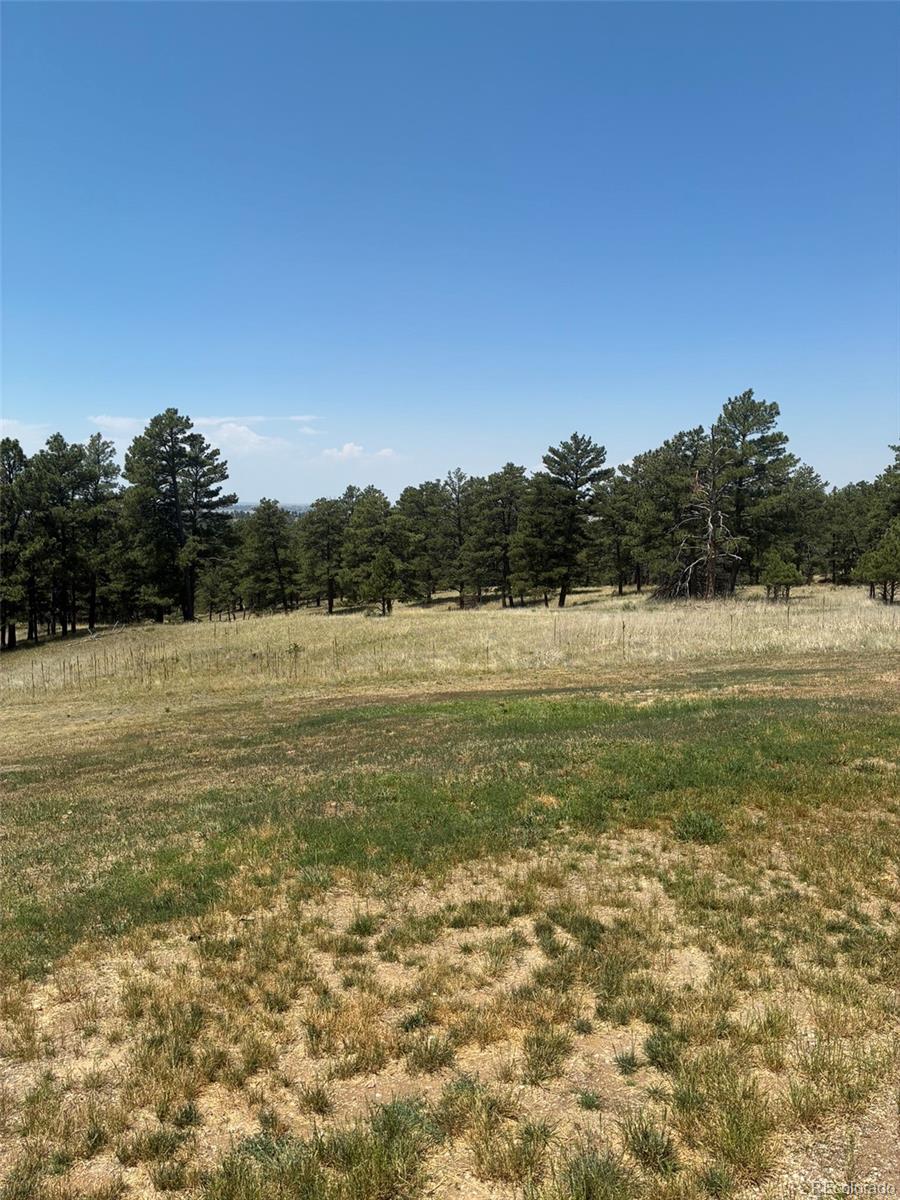 MLS Image #18 for 24074  emerald trail,deer trail, Colorado