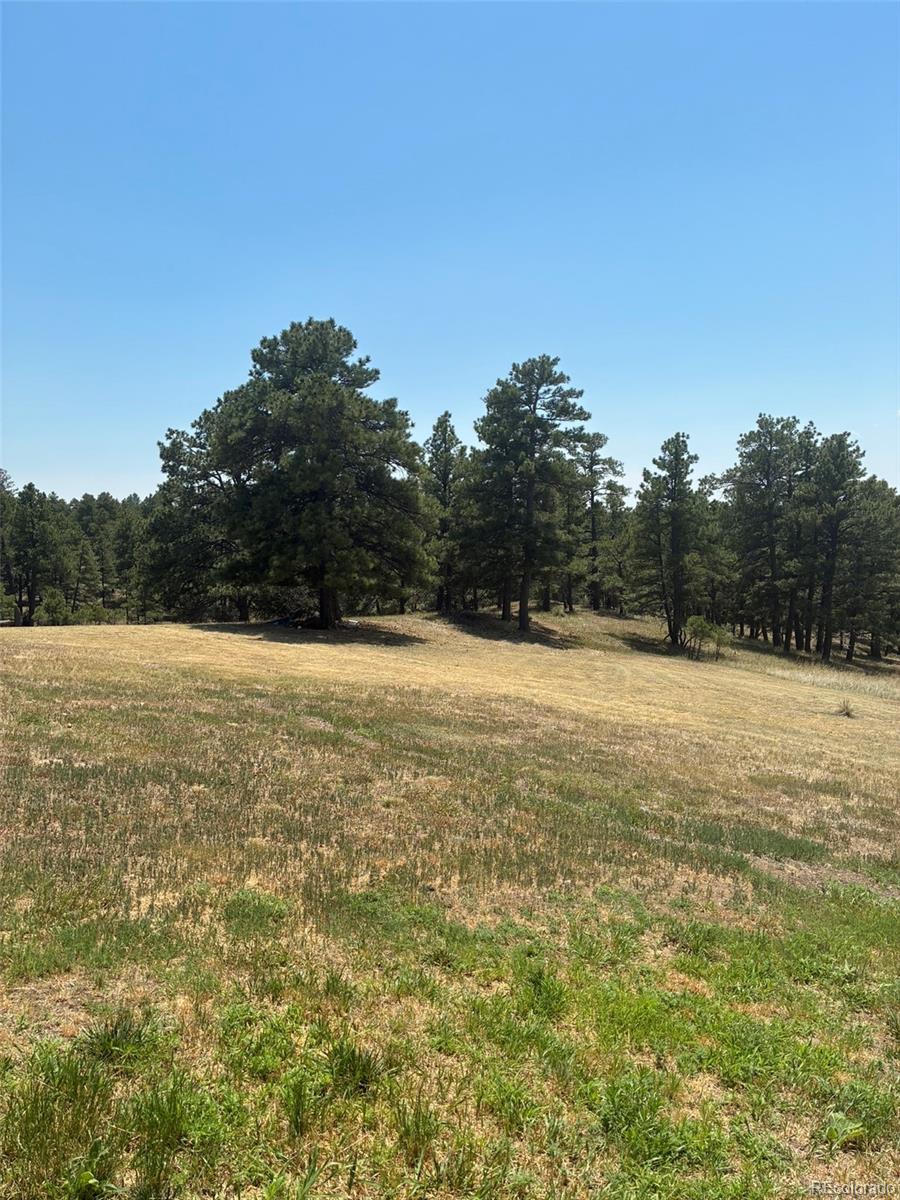 MLS Image #20 for 24074  emerald trail,deer trail, Colorado