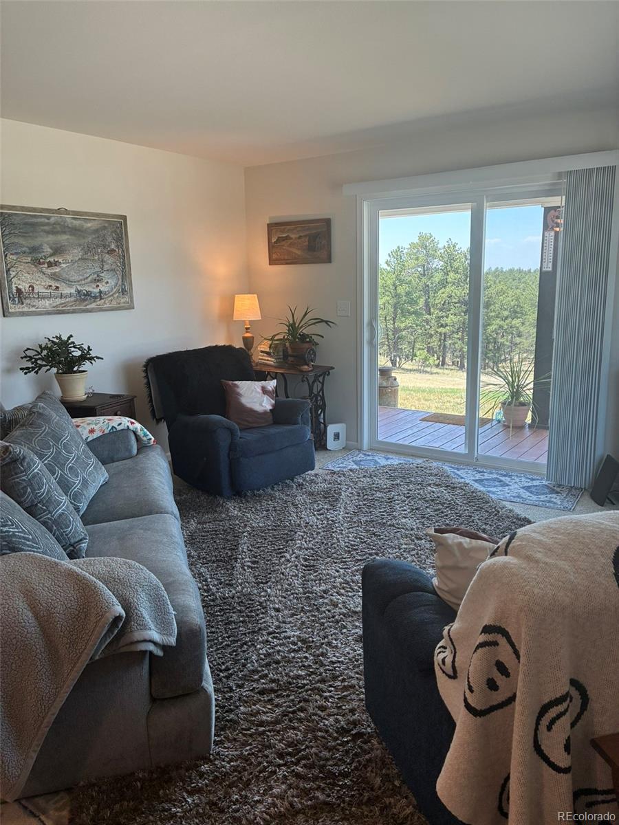 MLS Image #3 for 24074  emerald trail,deer trail, Colorado