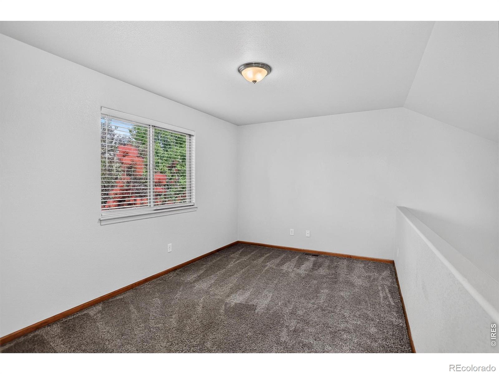 MLS Image #23 for 4419  cushing drive,loveland, Colorado