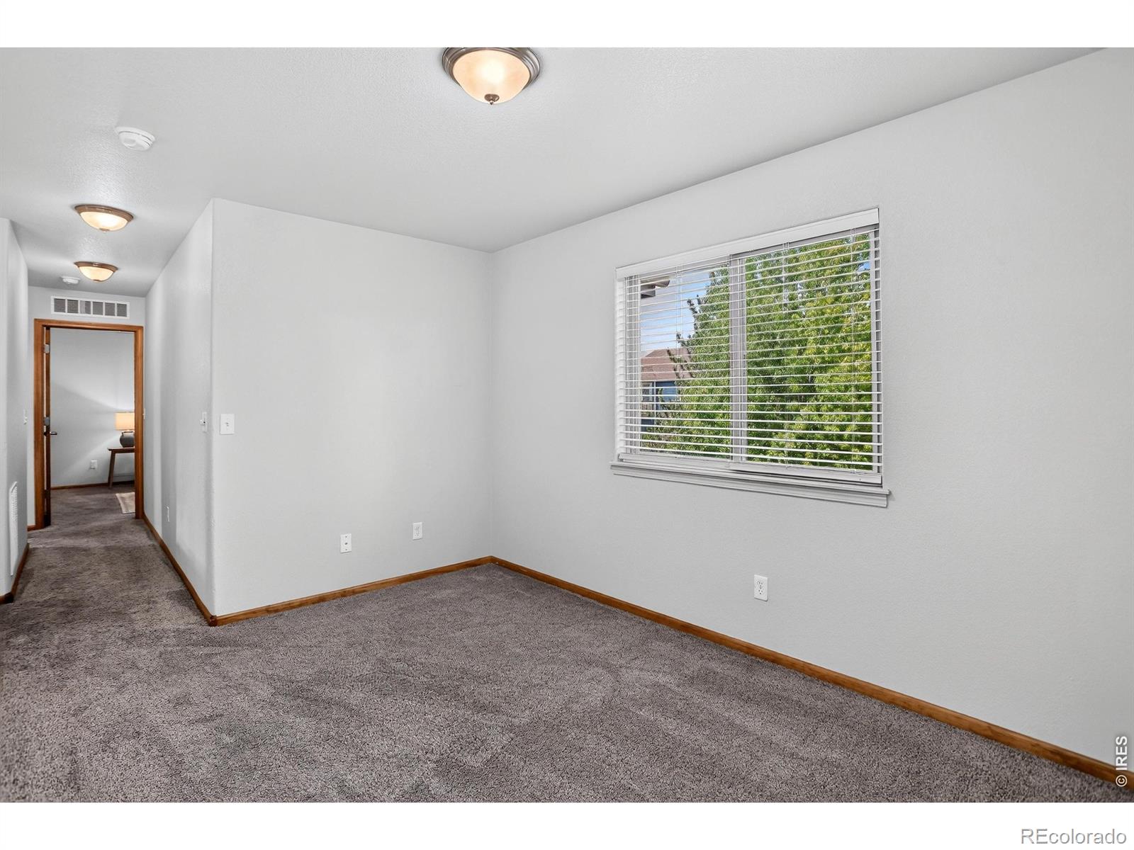 MLS Image #24 for 4419  cushing drive,loveland, Colorado