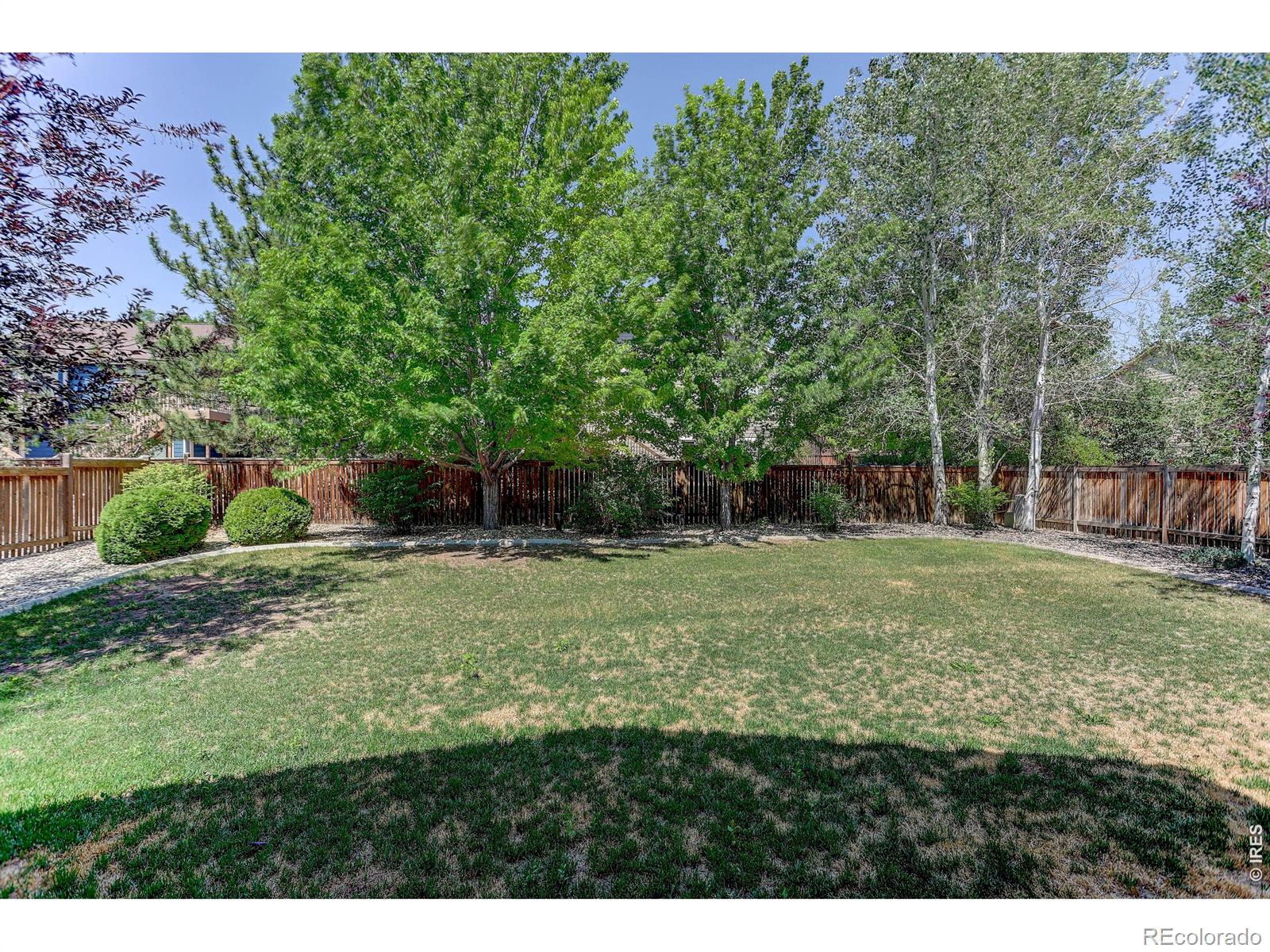 MLS Image #43 for 4419  cushing drive,loveland, Colorado
