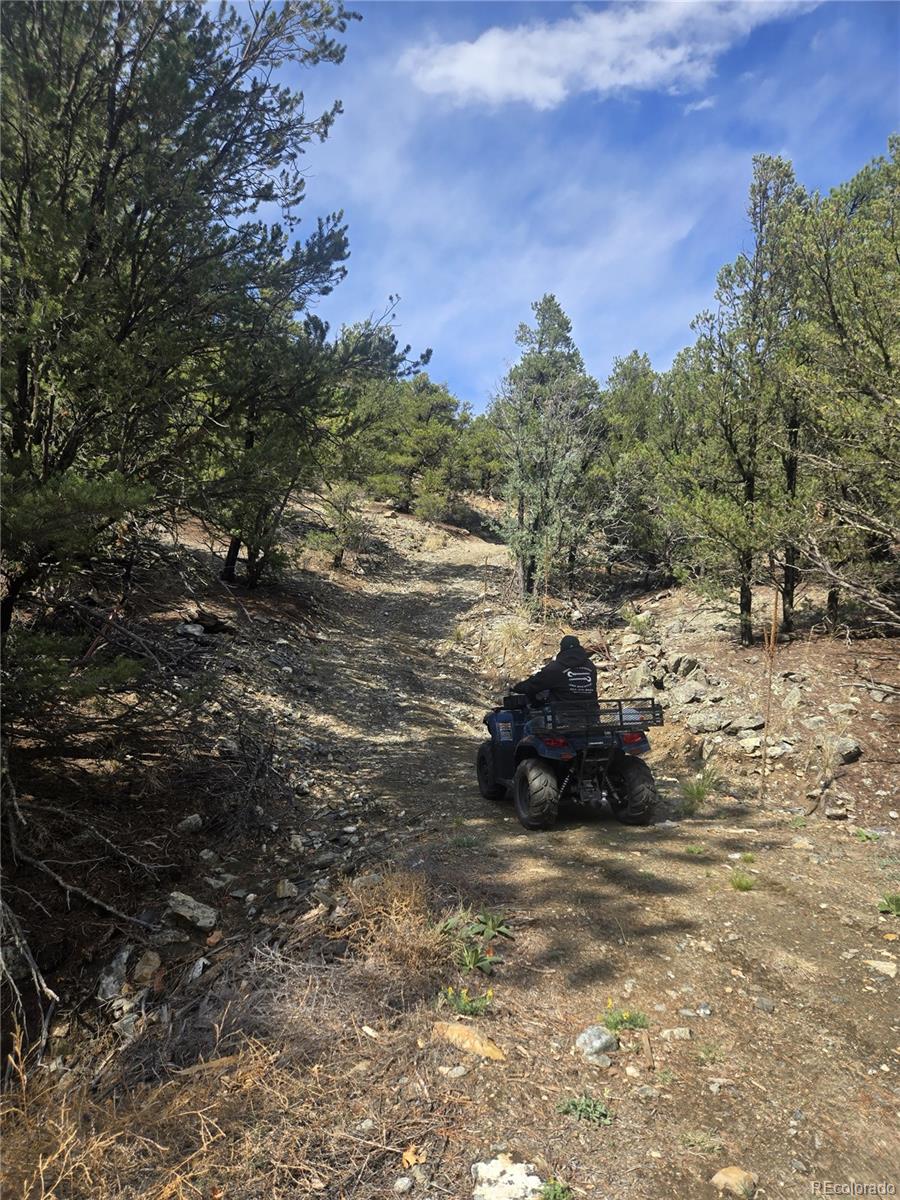 MLS Image #22 for 8260  county road 28 ,cotopaxi, Colorado