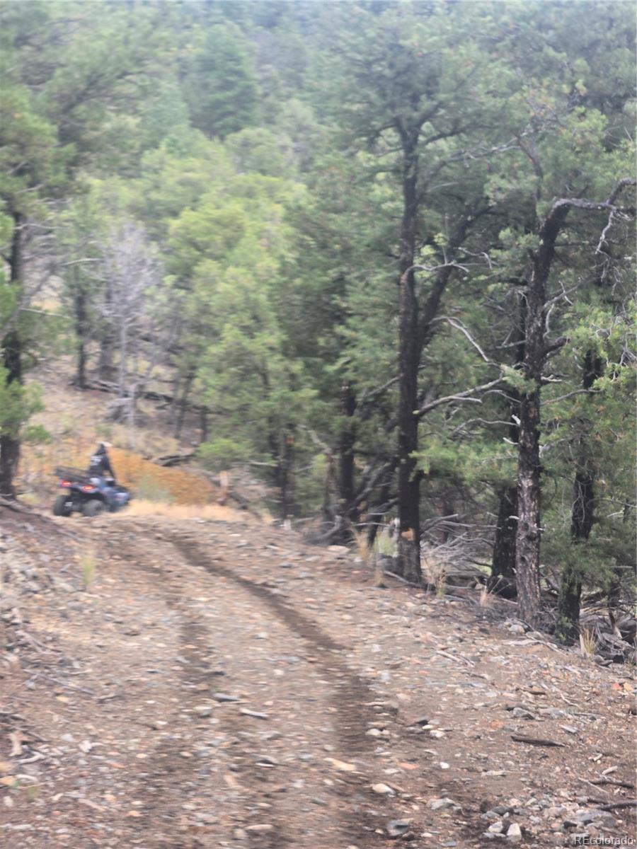 MLS Image #25 for 8260  county road 28 ,cotopaxi, Colorado