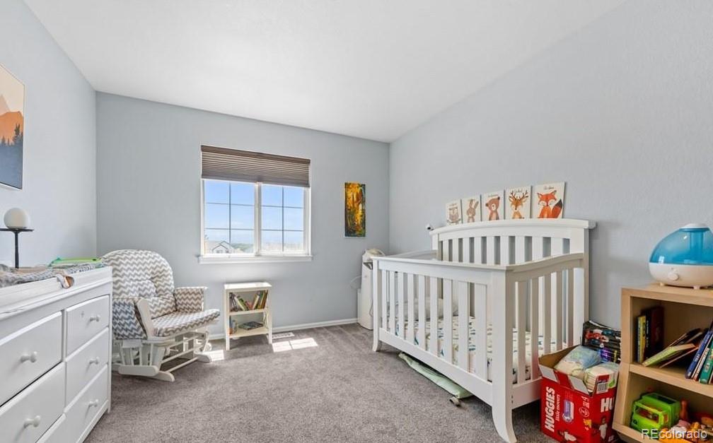MLS Image #21 for 15  white dove court,pueblo, Colorado