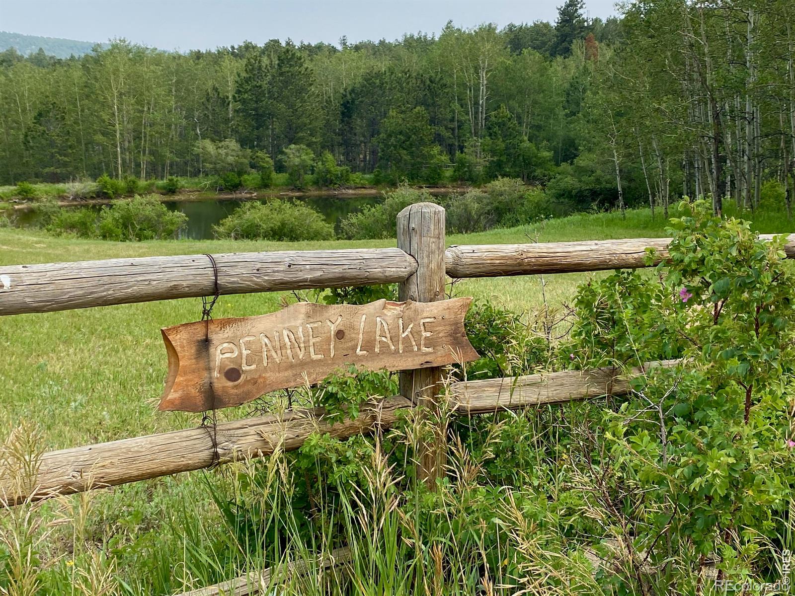 MLS Image #27 for 636  ranch road,ward, Colorado