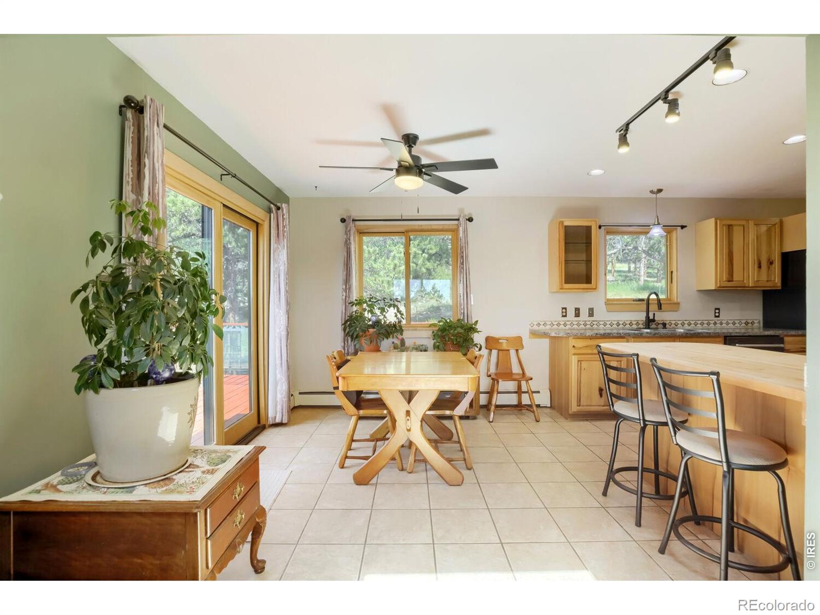 MLS Image #6 for 636  ranch road,ward, Colorado