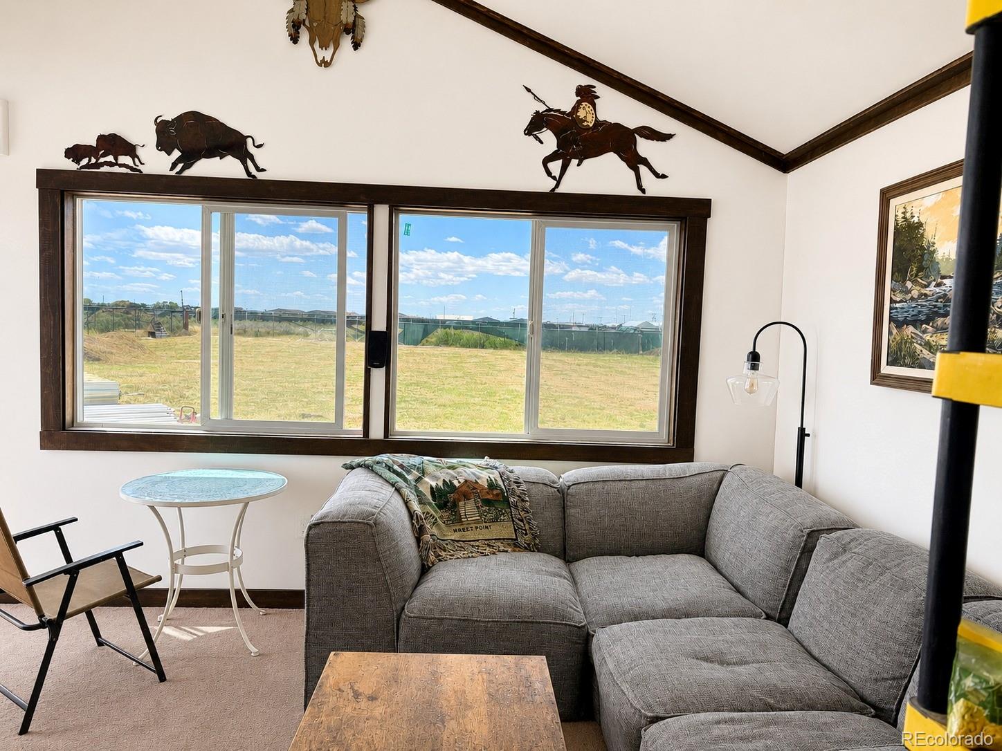 MLS Image #2 for 906  mr 45 lane,moffat, Colorado