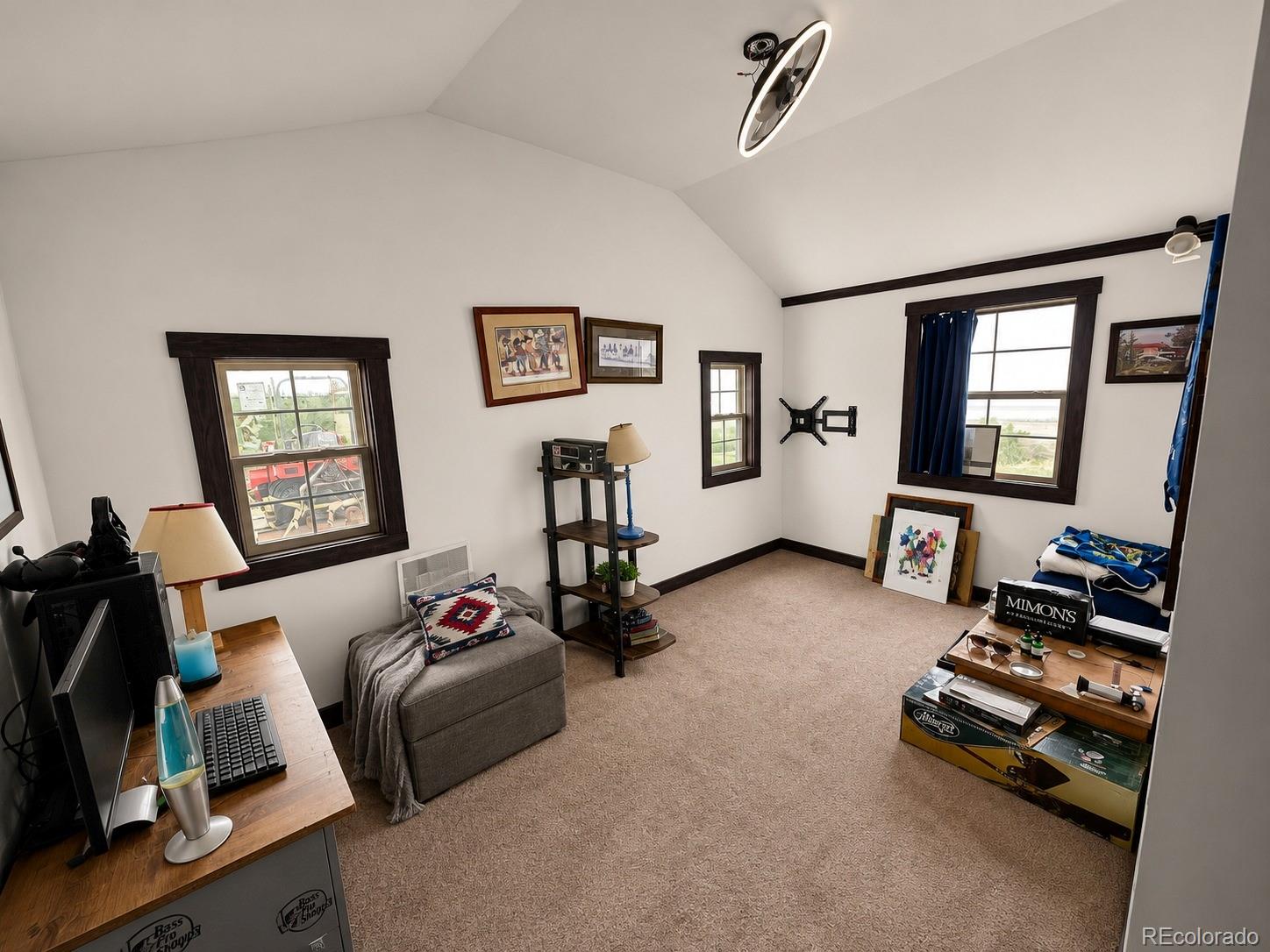 MLS Image #4 for 906  mr 45 lane,moffat, Colorado