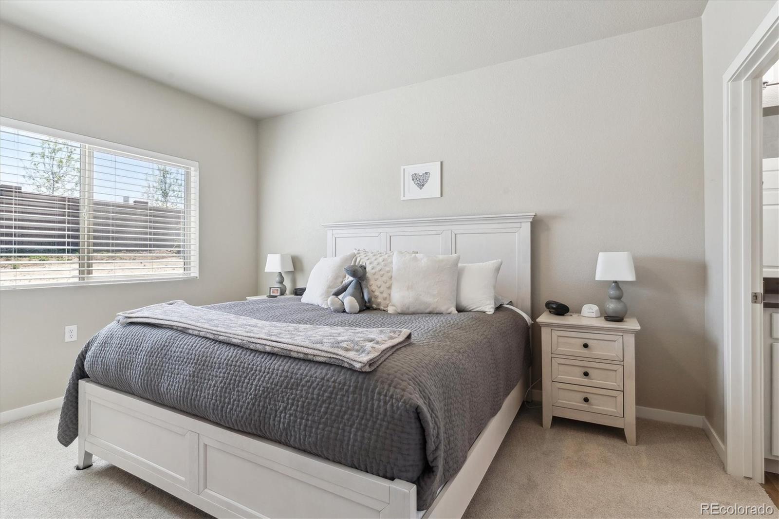 MLS Image #10 for 12820  inca street,westminster, Colorado