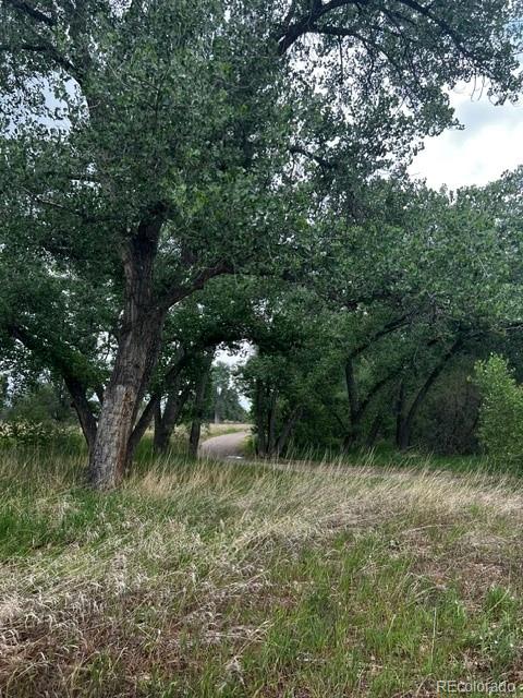 MLS Image #20 for 1118  centaur circle,lafayette, Colorado